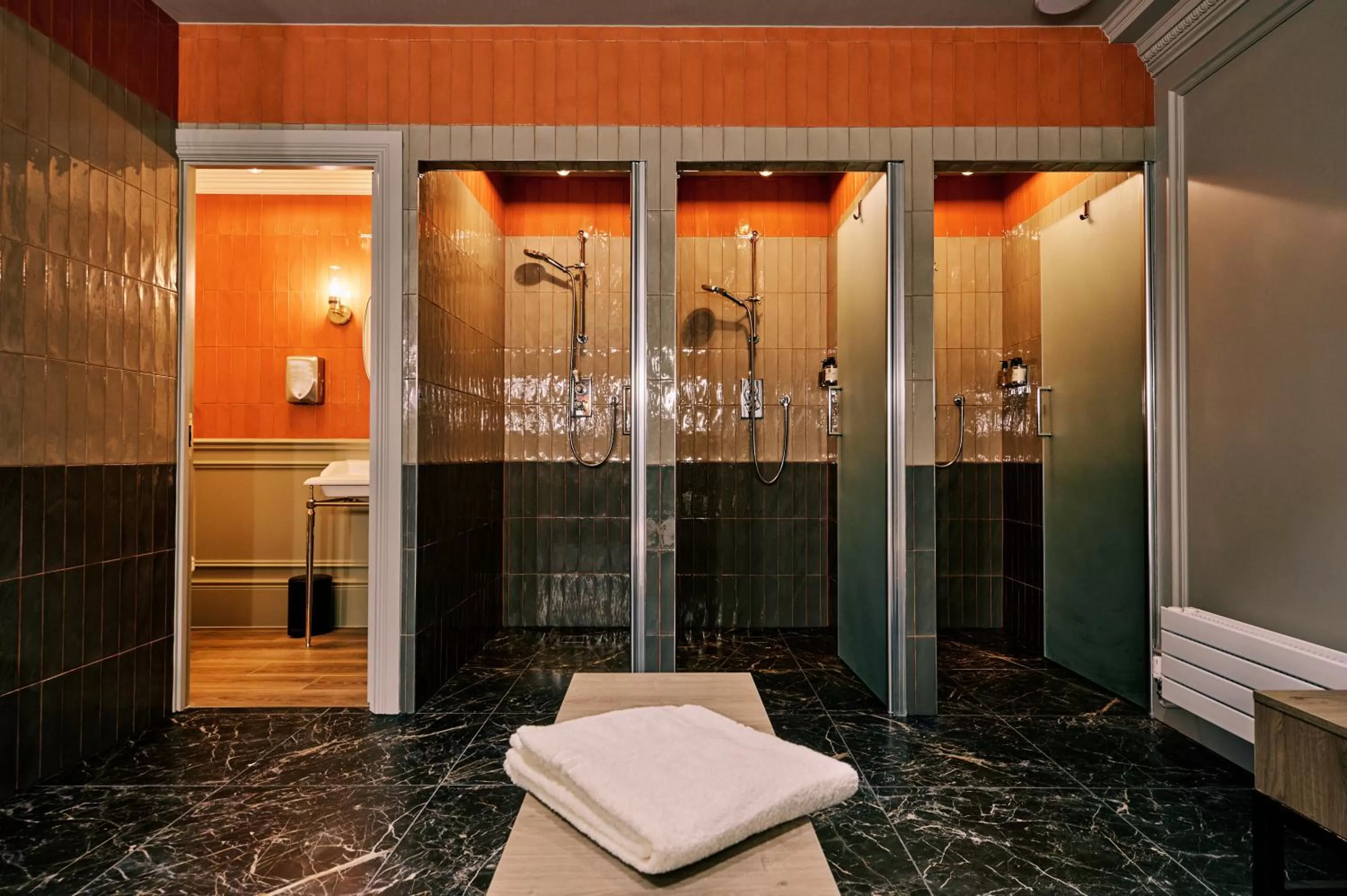 Shower in Bedford Swan Hotel and Thermal Spa