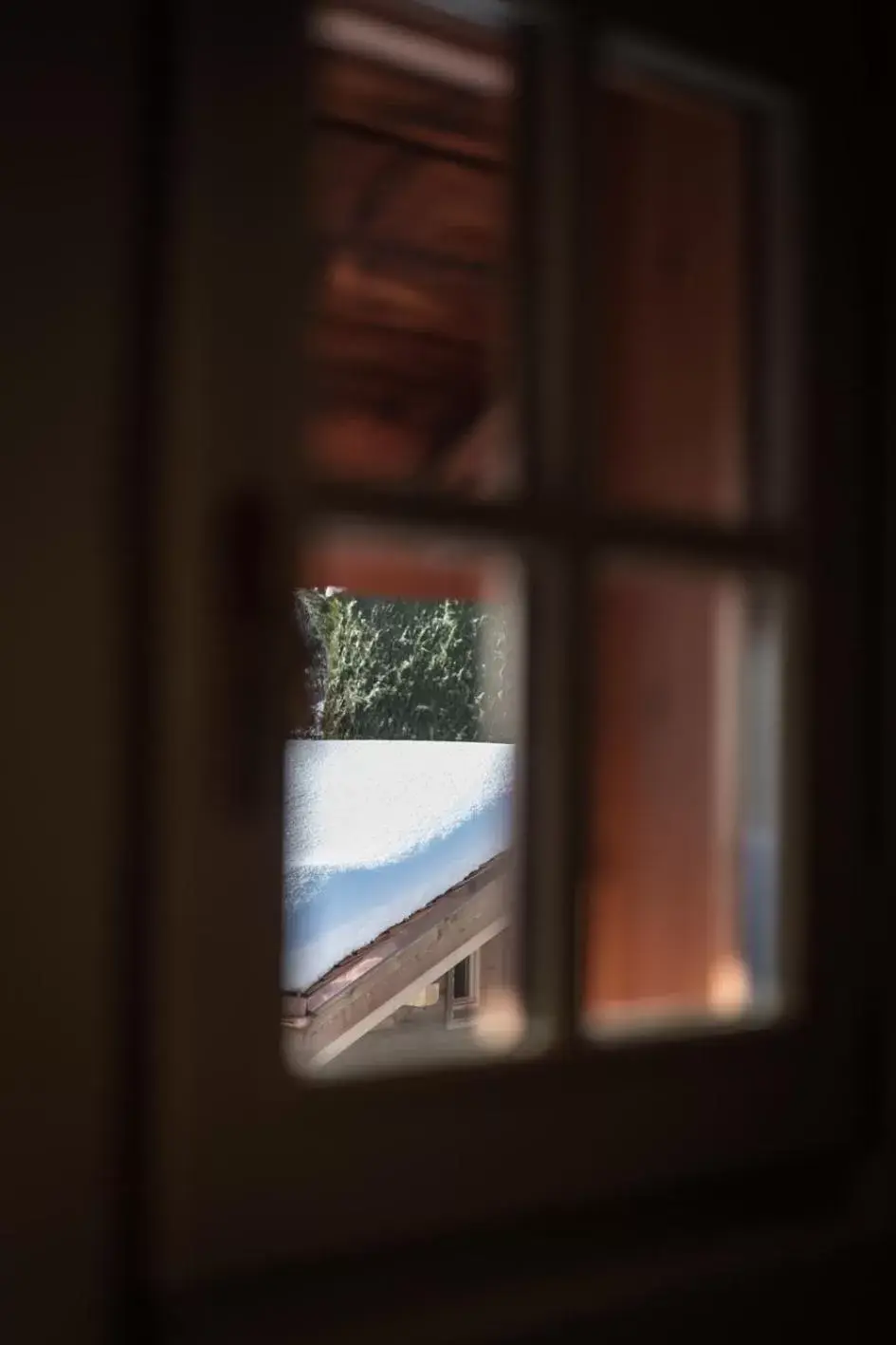 Decorative detail, Pool View in Hôtel Restaurant La Ferme de Cupelin