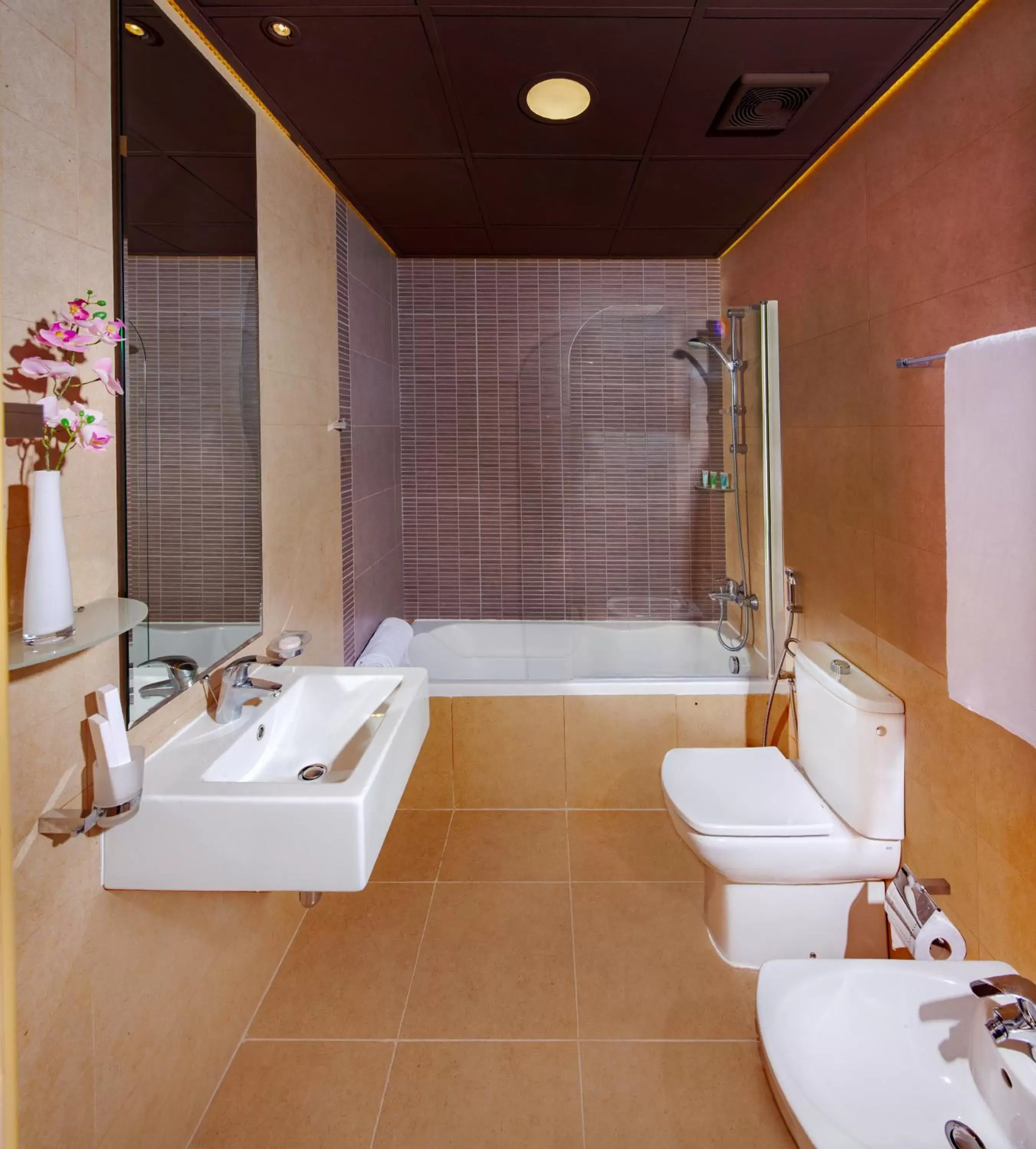 Shower, Bathroom in Swan Executive Suites