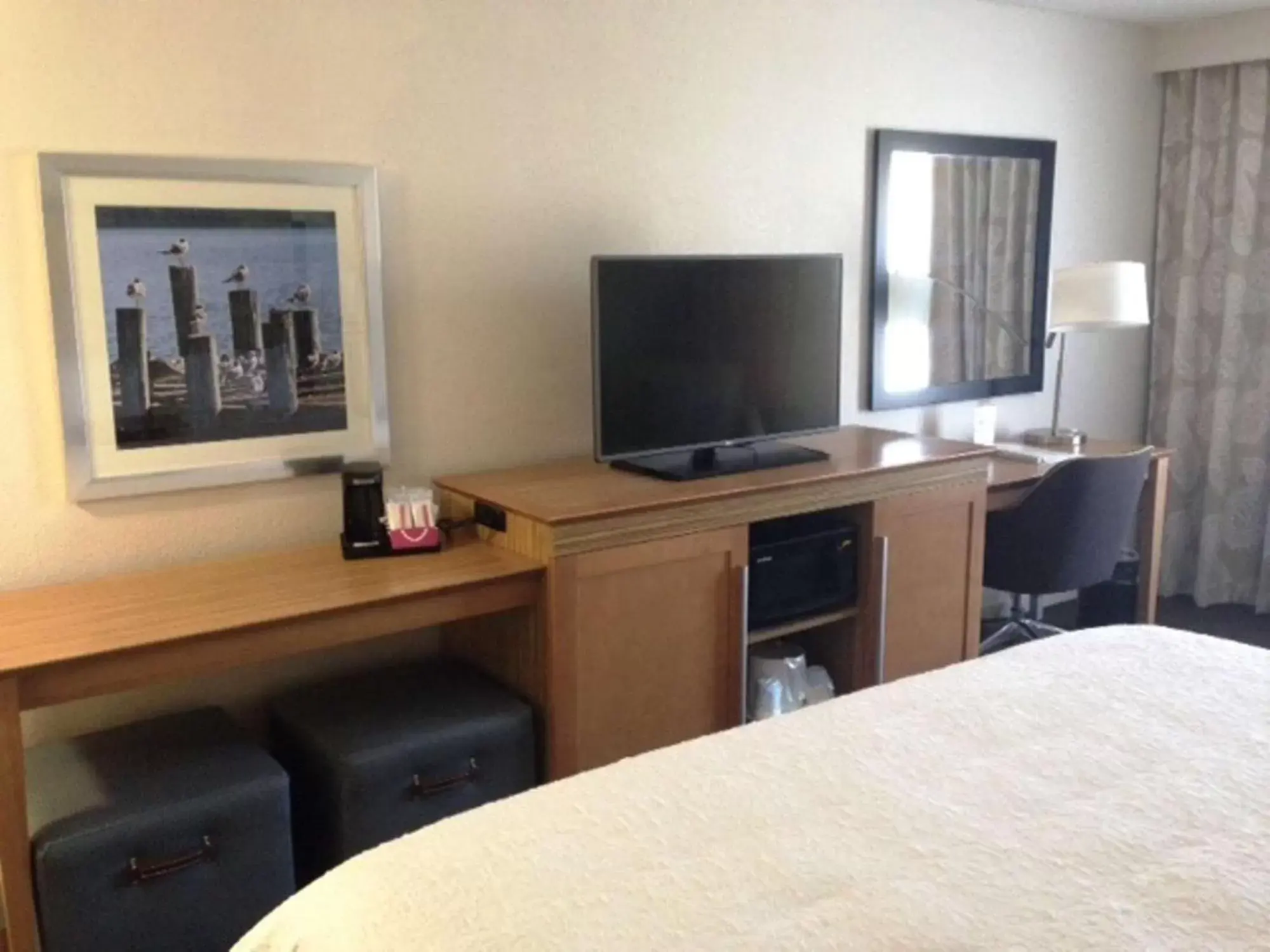 Bed, TV/Entertainment Center in Hampton Inn Tampa-Rocky Point