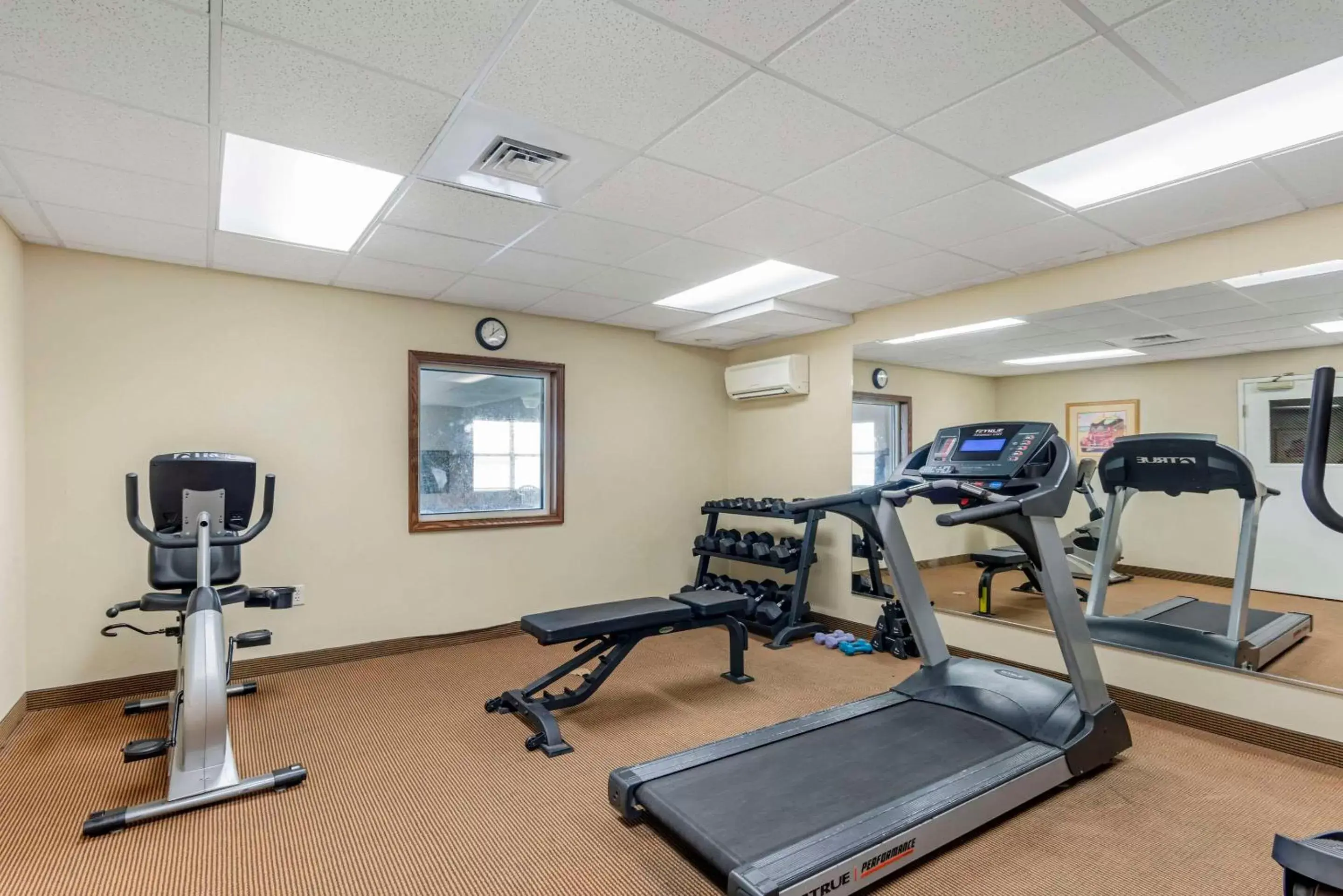 Fitness centre/facilities, Fitness Center/Facilities in Comfort Inn & Suites Dover