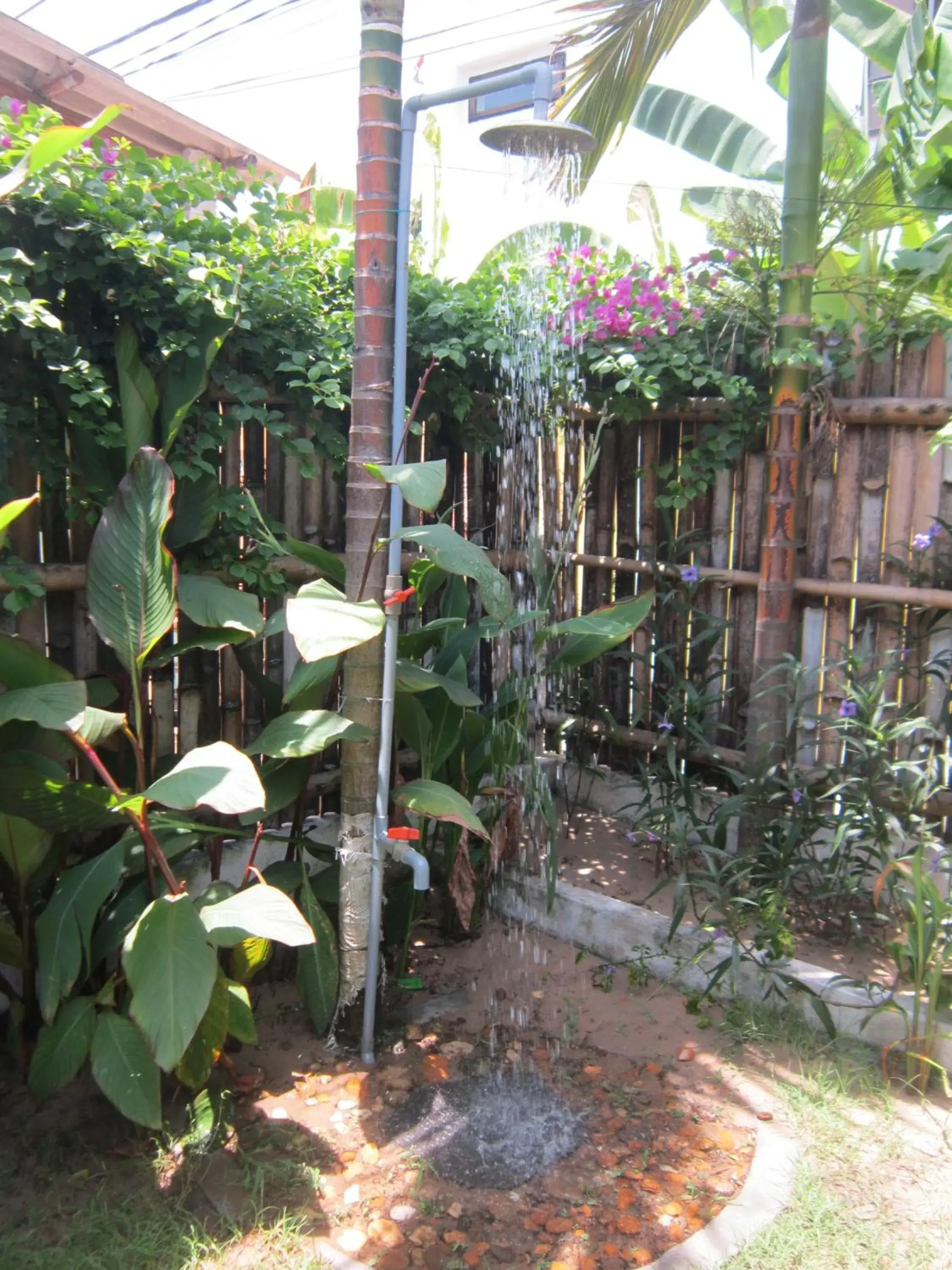 Shower in Local Beach Homestay