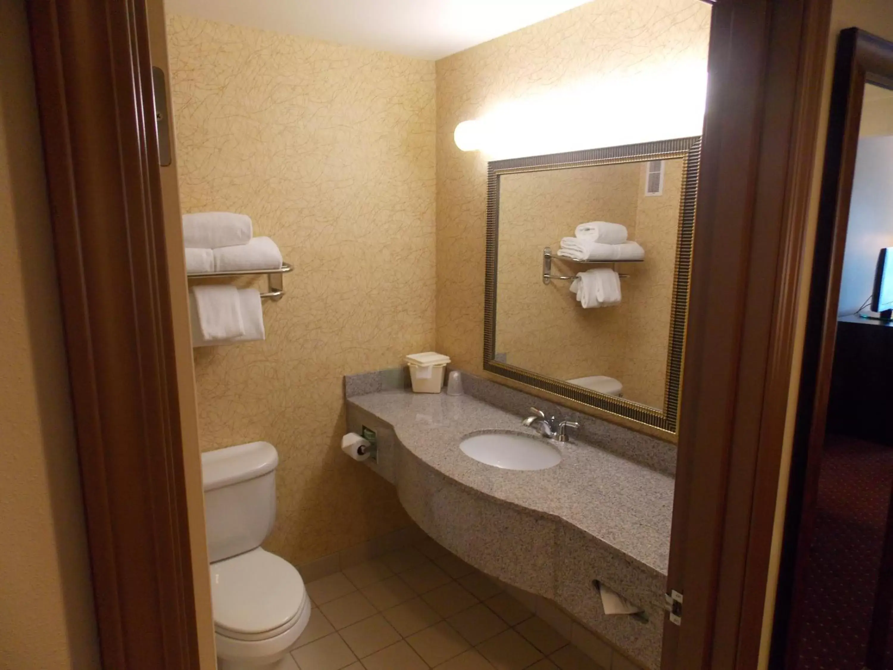 Bathroom in Holiday Inn Express Syracuse-Fairgrounds, an IHG Hotel