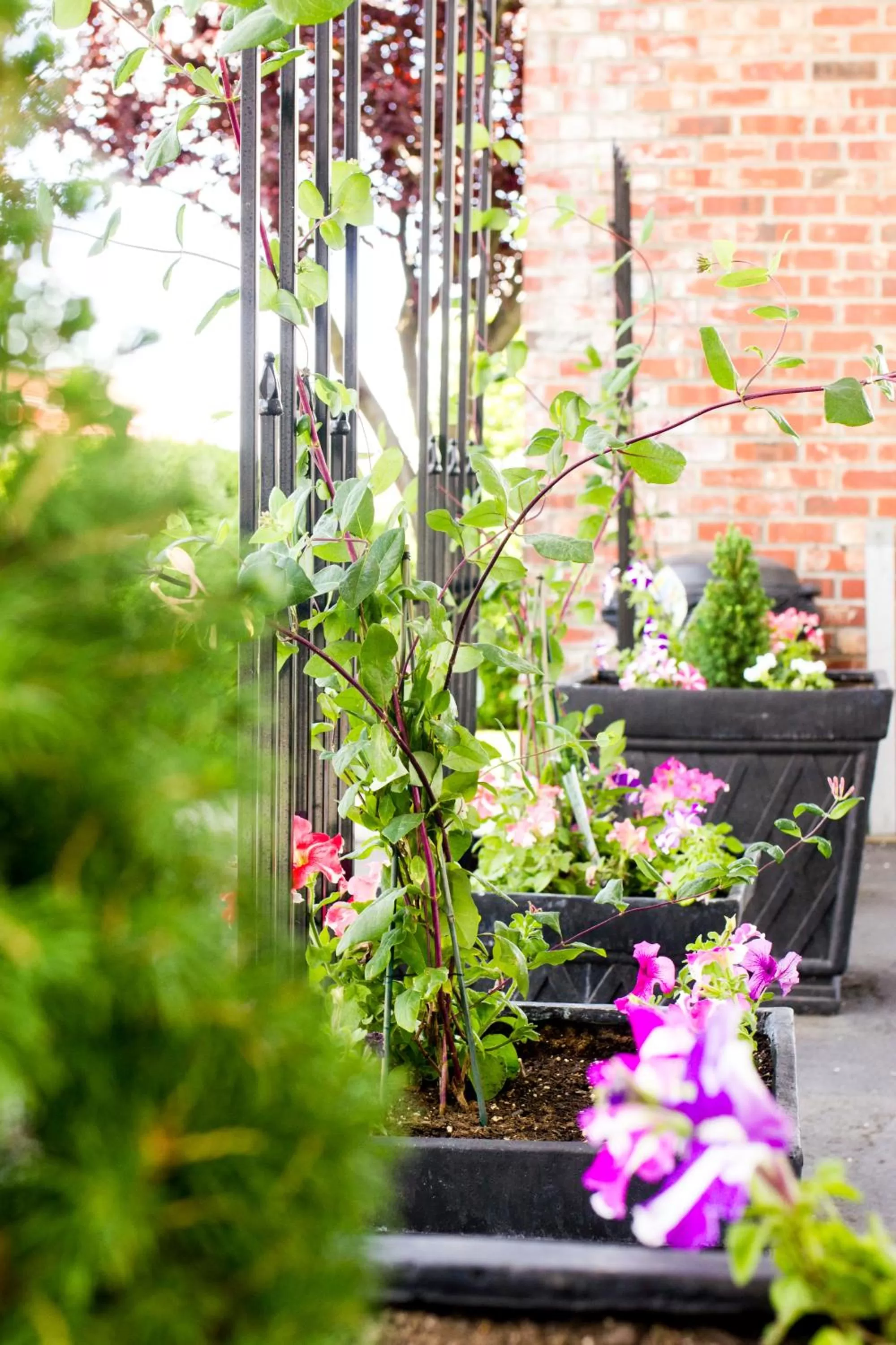 Garden in Inn at Moses Lake
