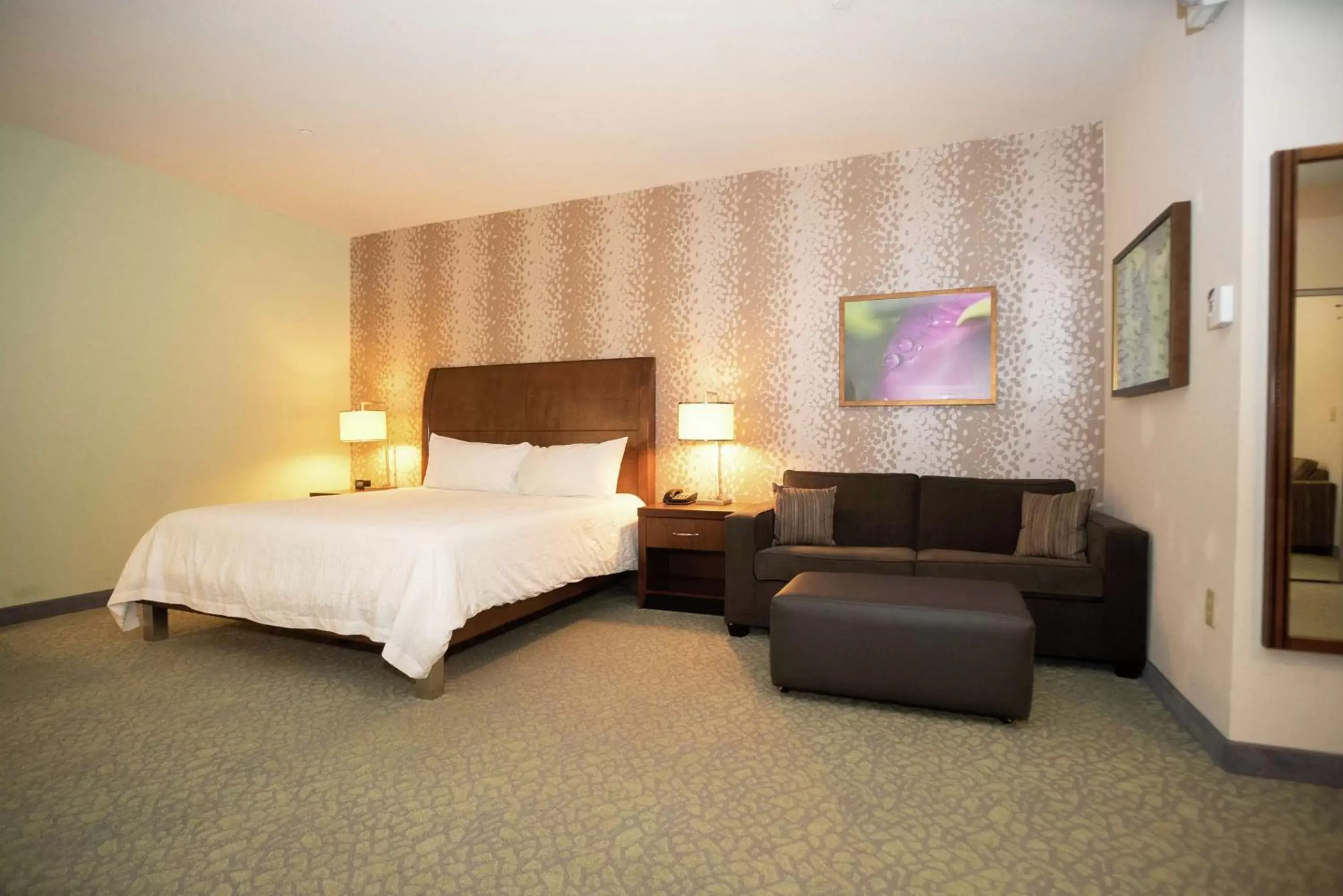 Living room, Bed in Hilton Garden Inn Covington/Mandeville