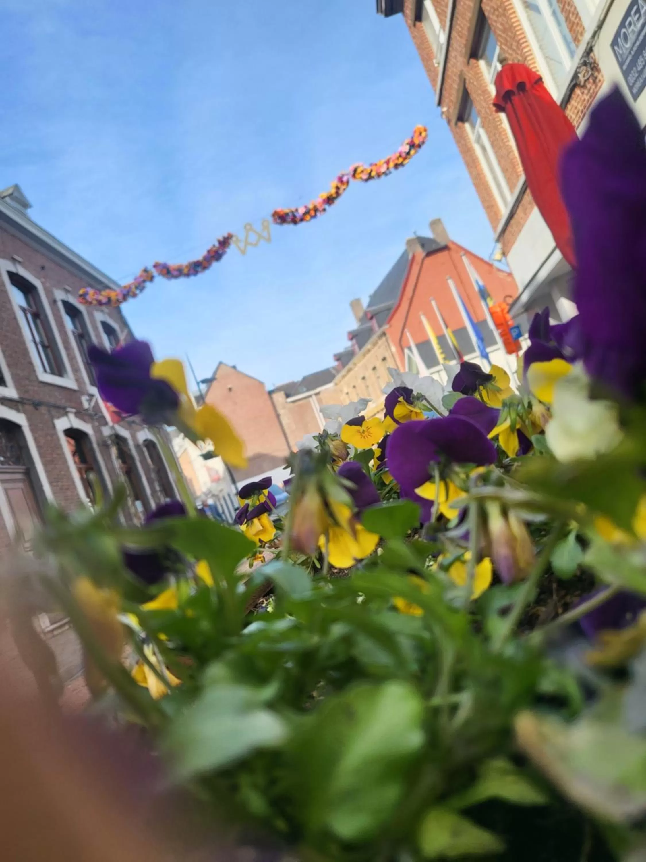 Property building in Loogiez