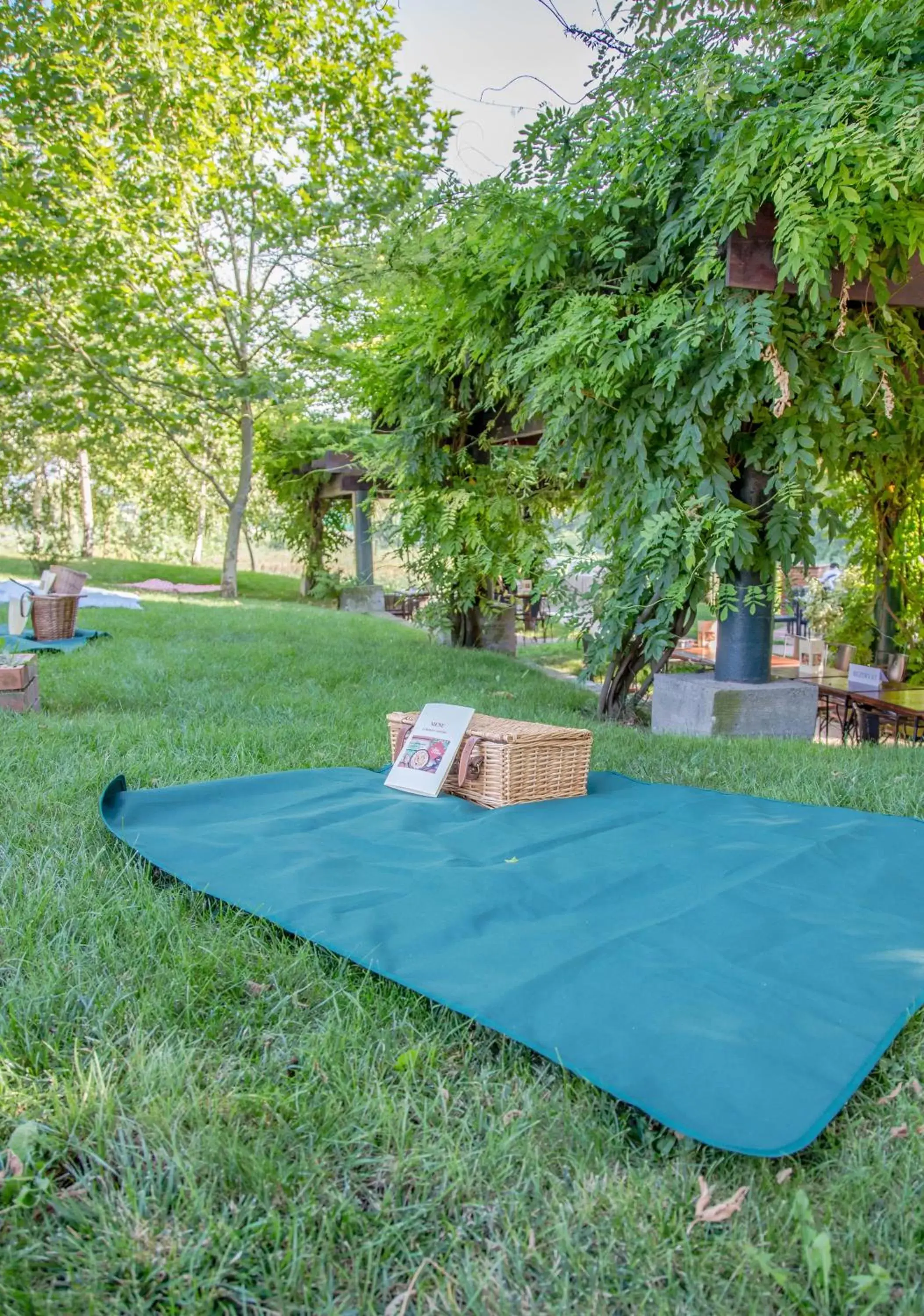 Natural landscape, Garden in Caro Hotel