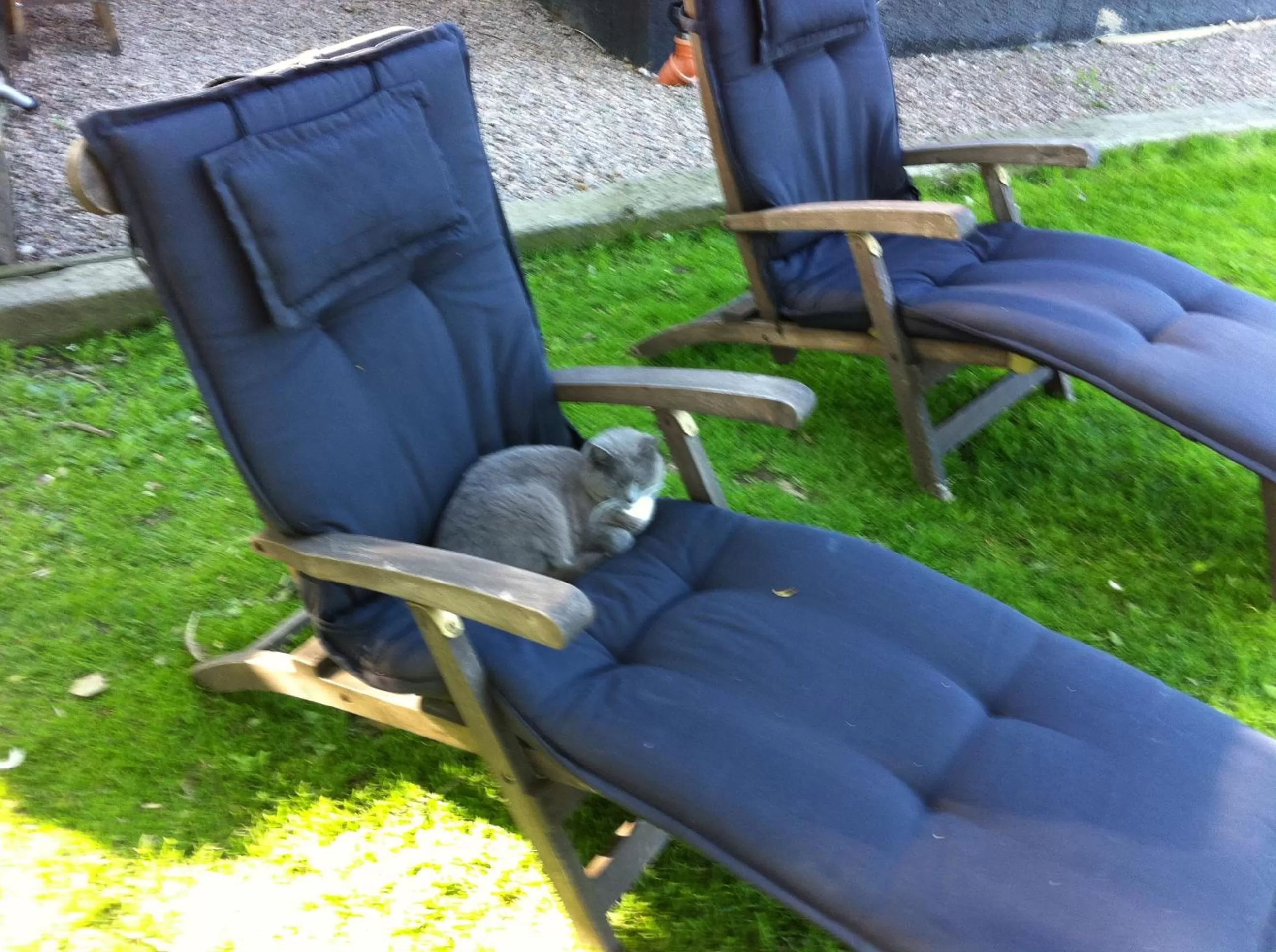 Mattisgården Bed & Breakfast