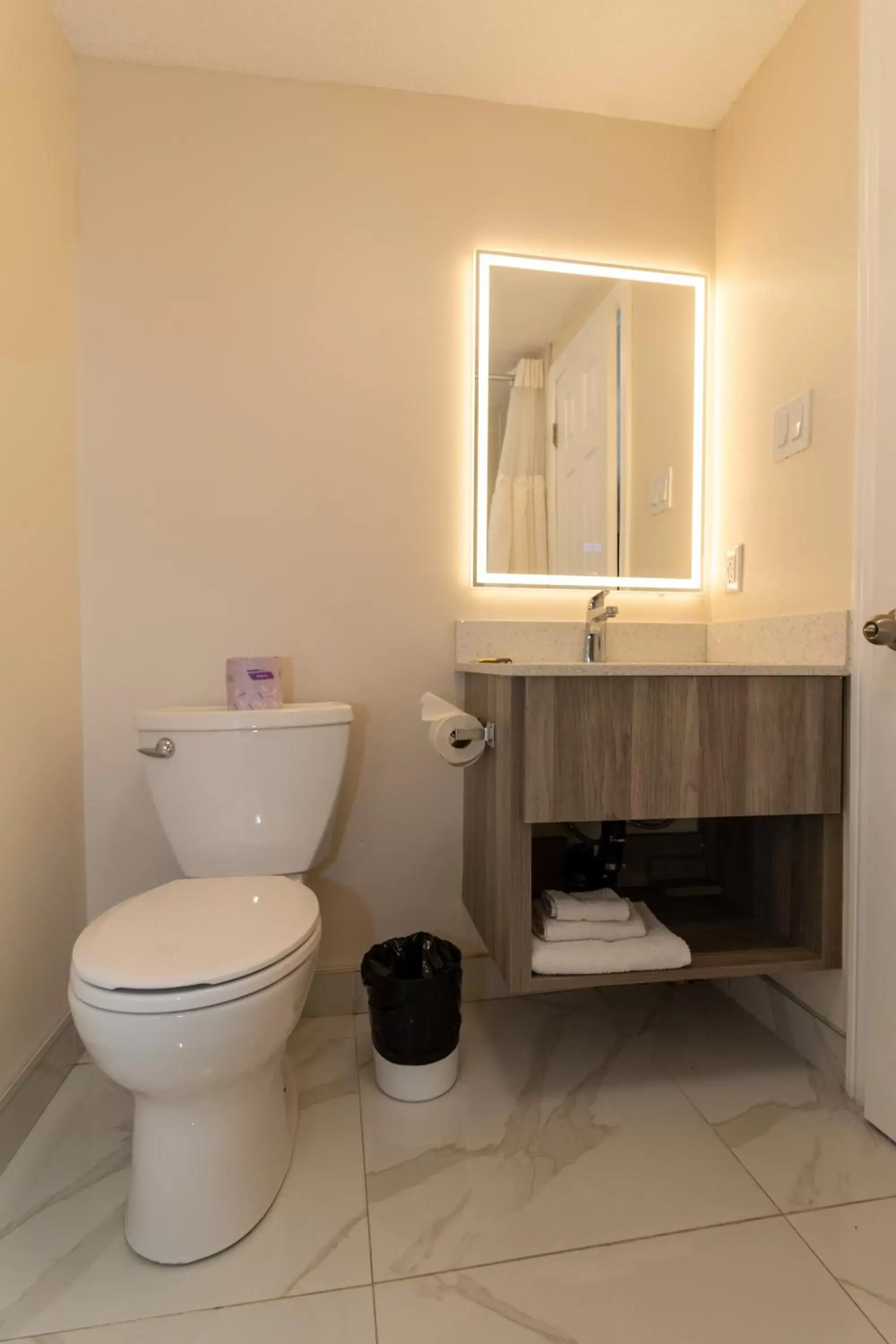 Bathroom in Borden Inn and Suites