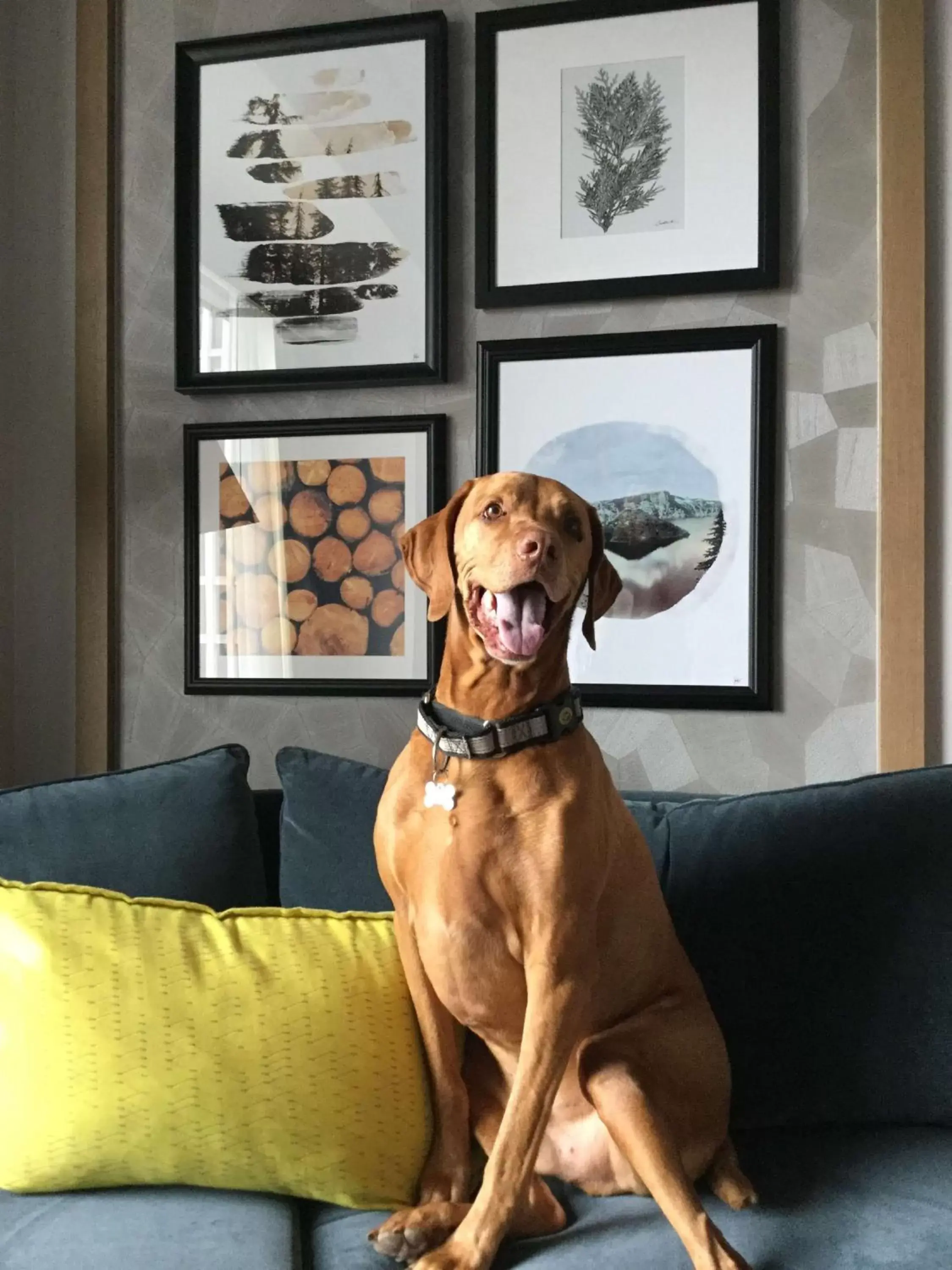 Living room, Pets in The Duniway Portland, A Hilton Hotel