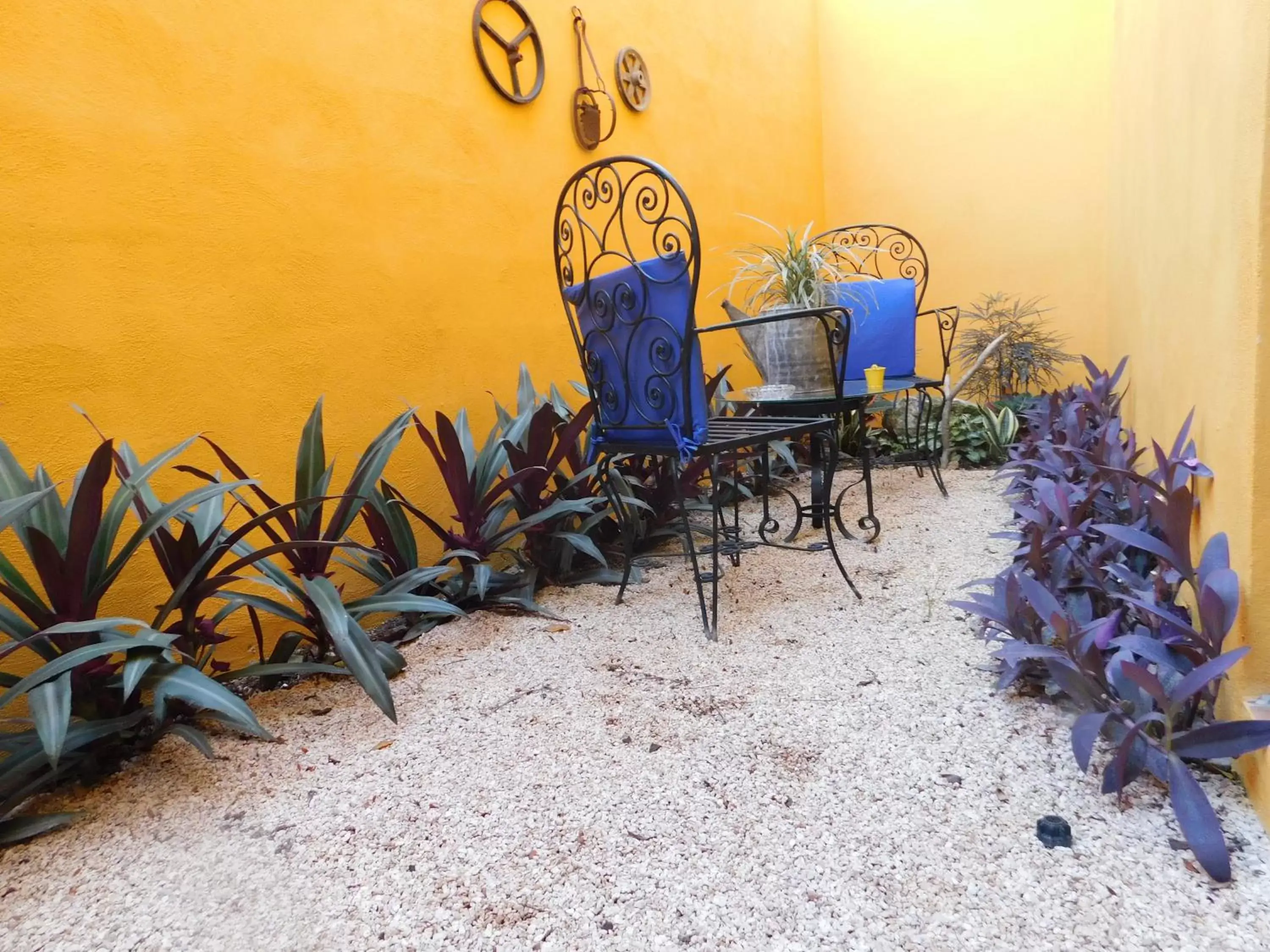 Balcony/Terrace in Hotel Boutique Casa Flor de Mayo