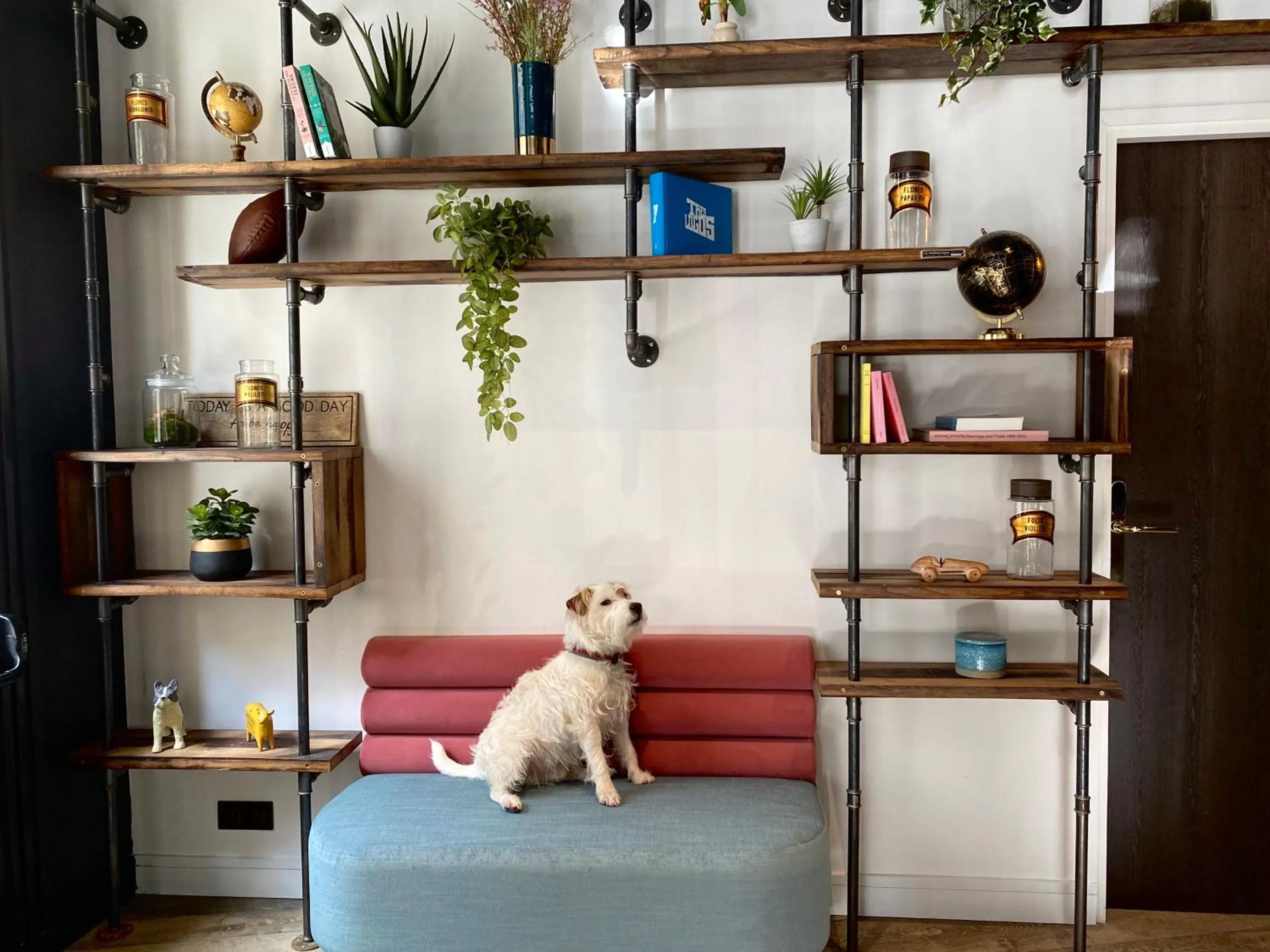 Library in Hotel Bridget