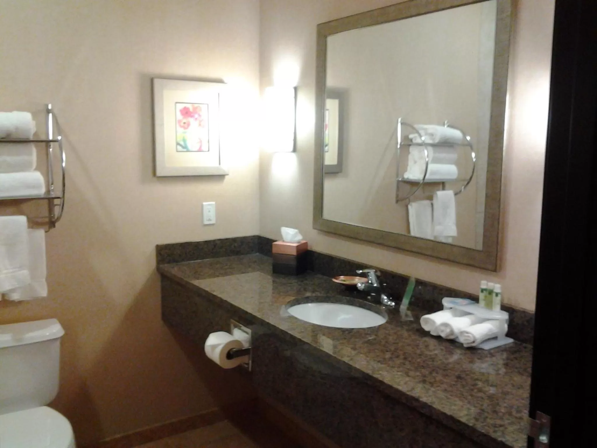Bathroom in Holiday Inn Express Hotel Vernal by IHG