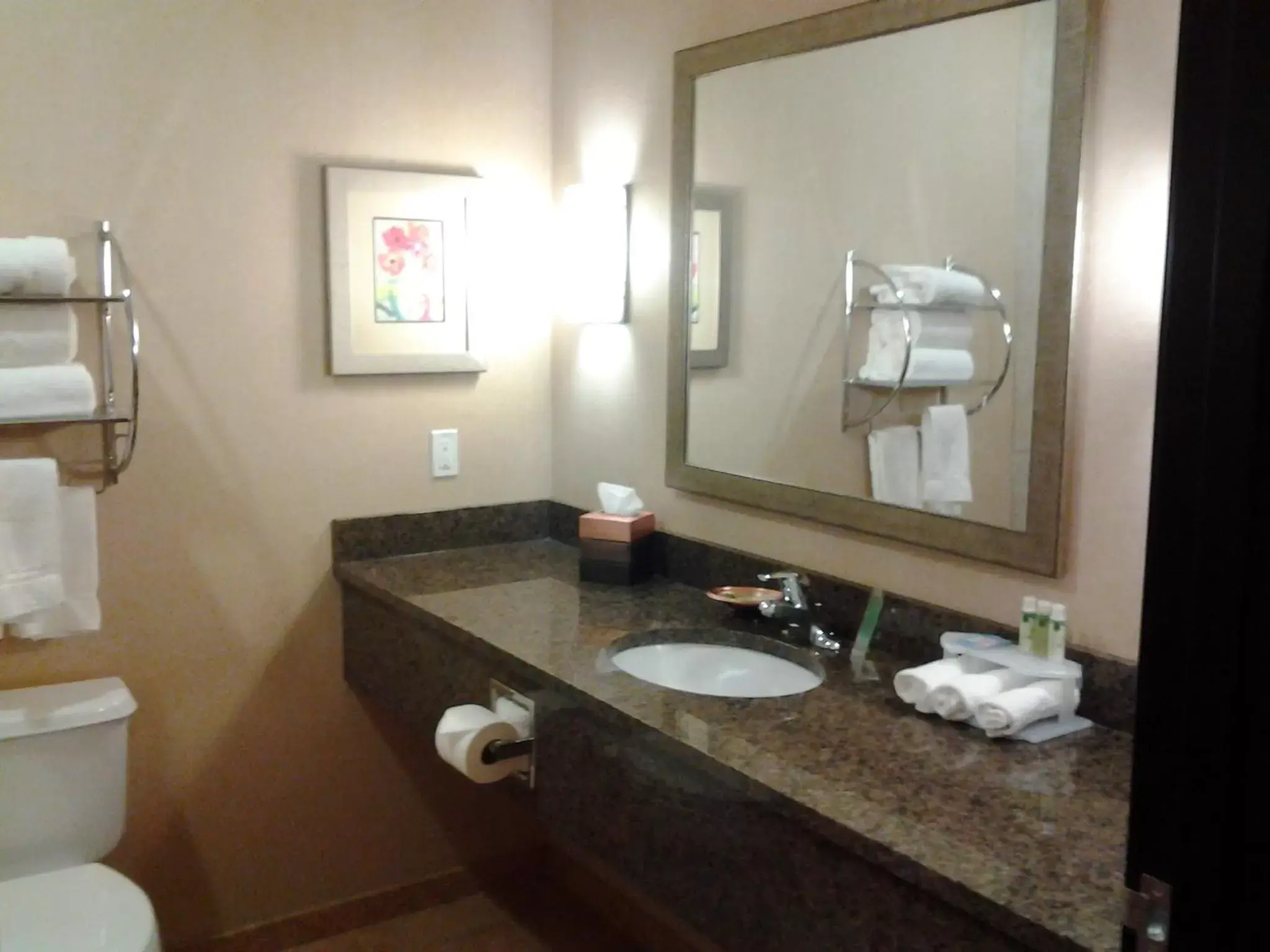 Bathroom in Holiday Inn Express Hotel Vernal, an IHG Hotel