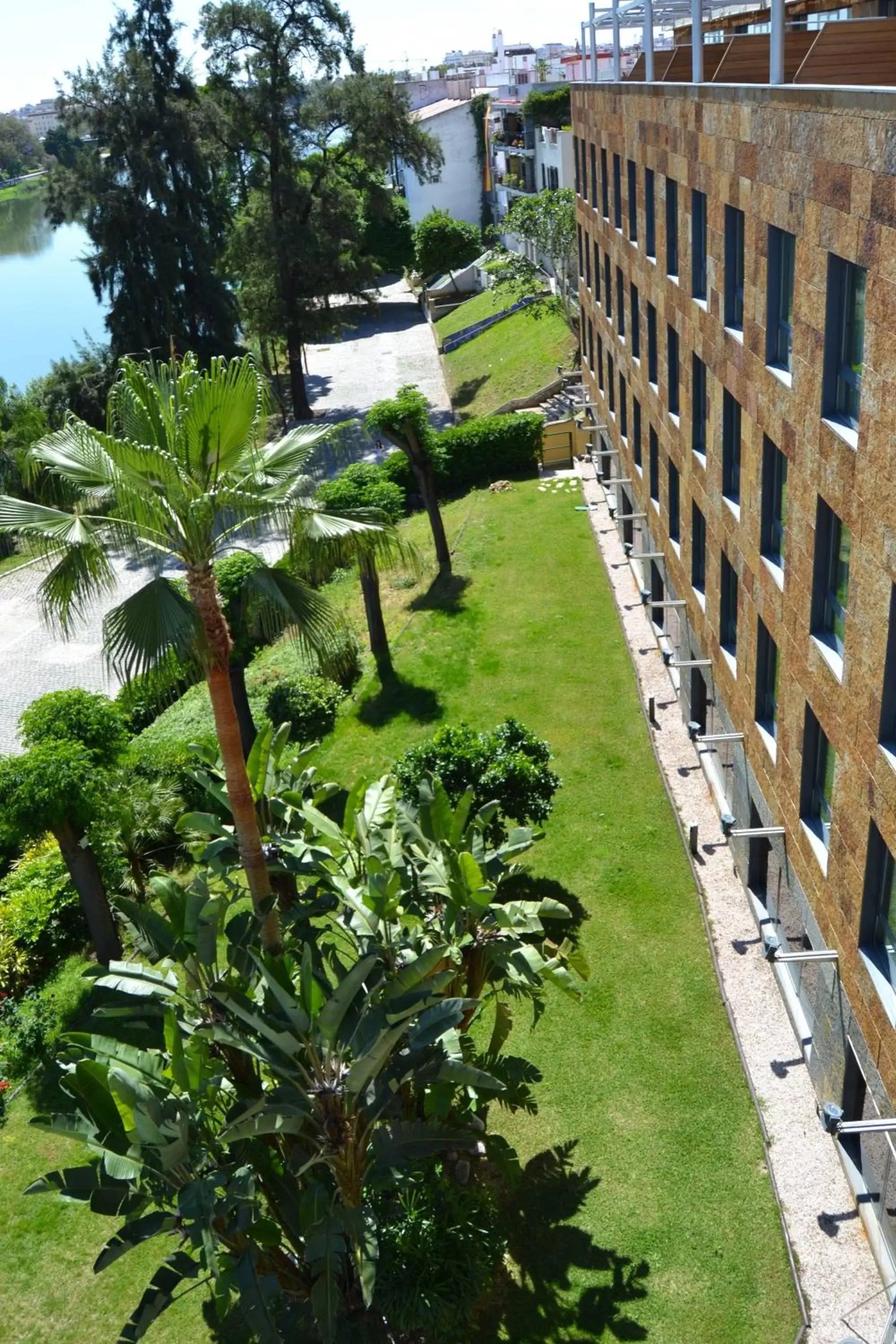 Garden in Ribera de Triana Hotel