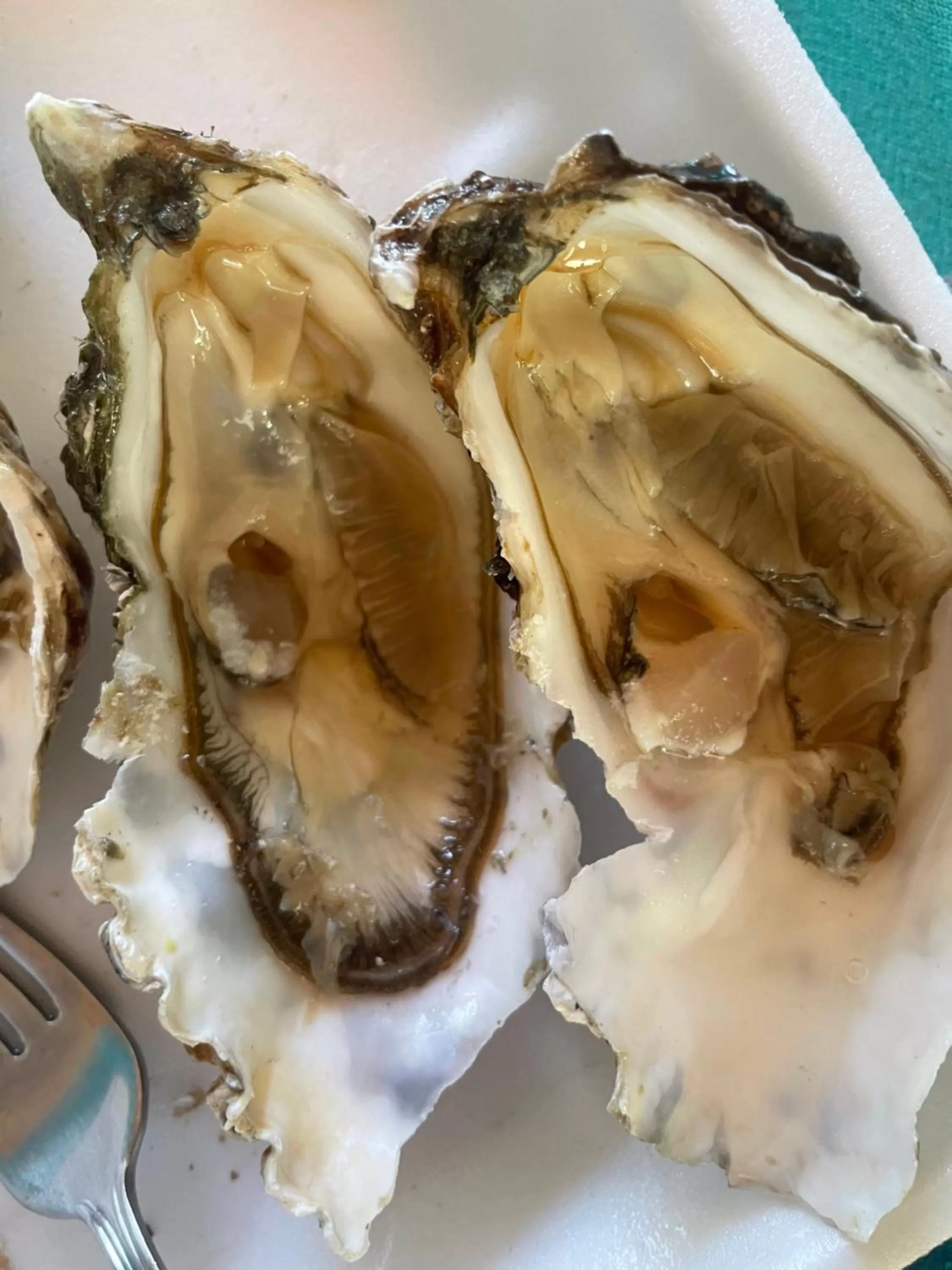 Food and drinks, Food in Sunshine