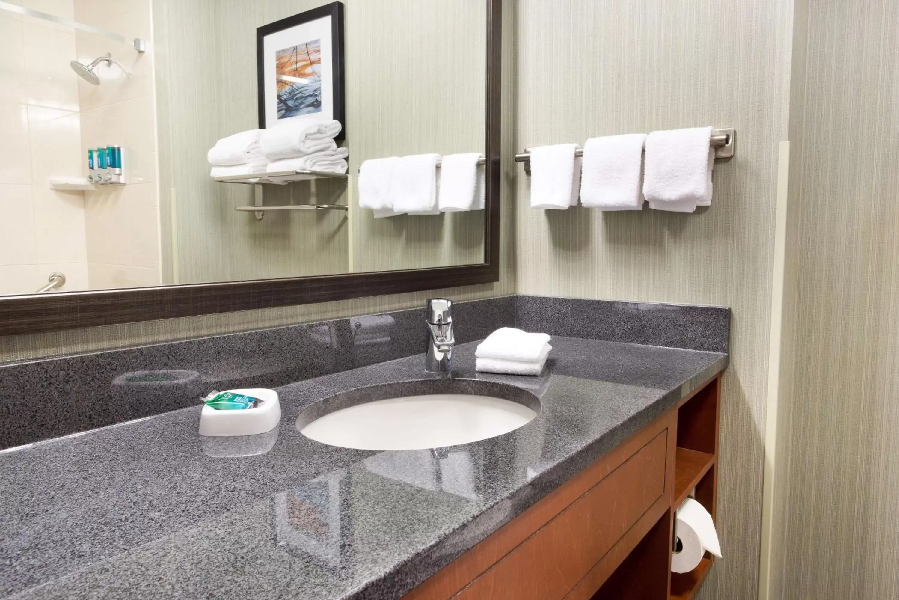 Bathroom in Drury Inn & Suites Grand Rapids