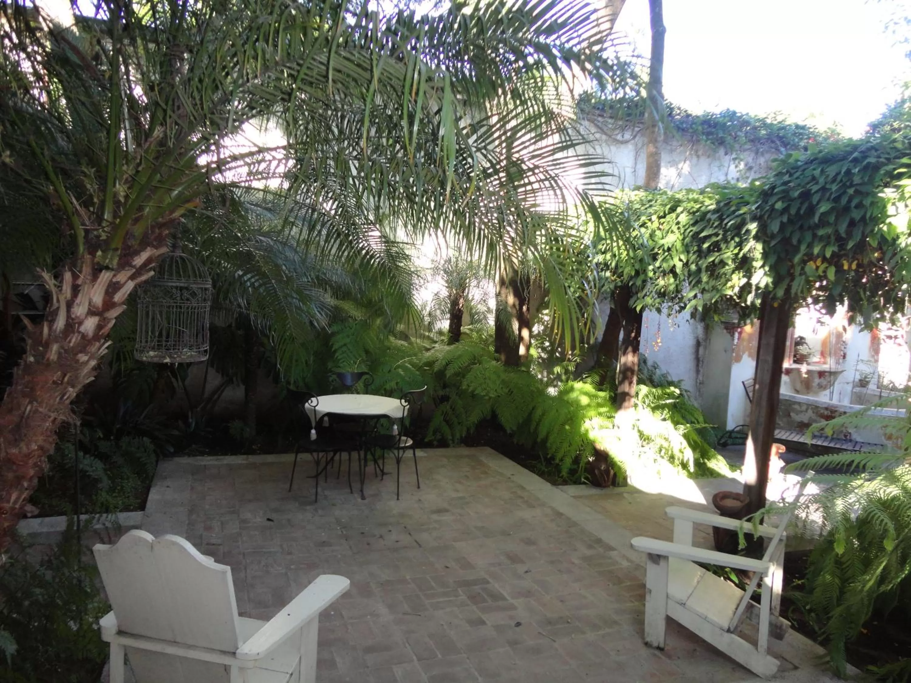 Garden in Cissus Hotel Boutique