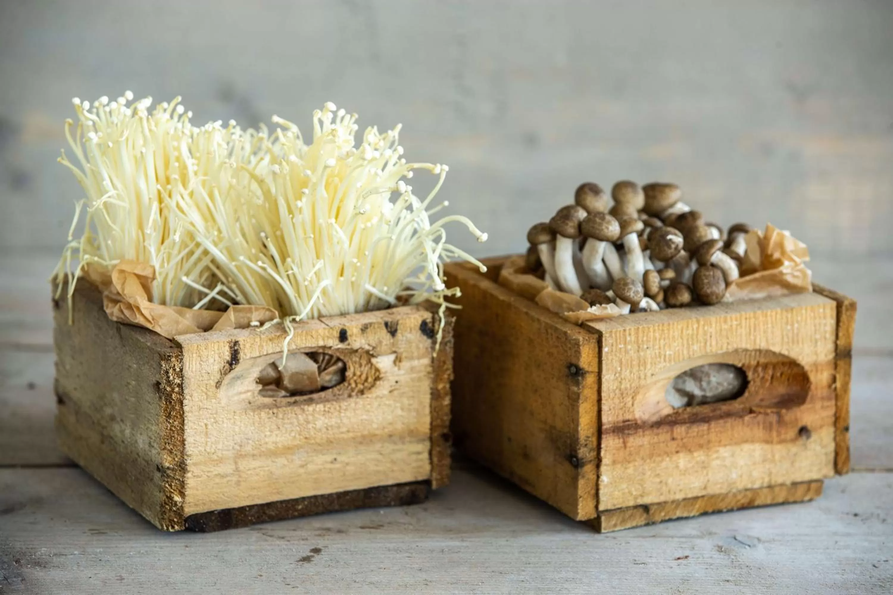 Other in Radisson Blu Hotel, Antwerp City Centre