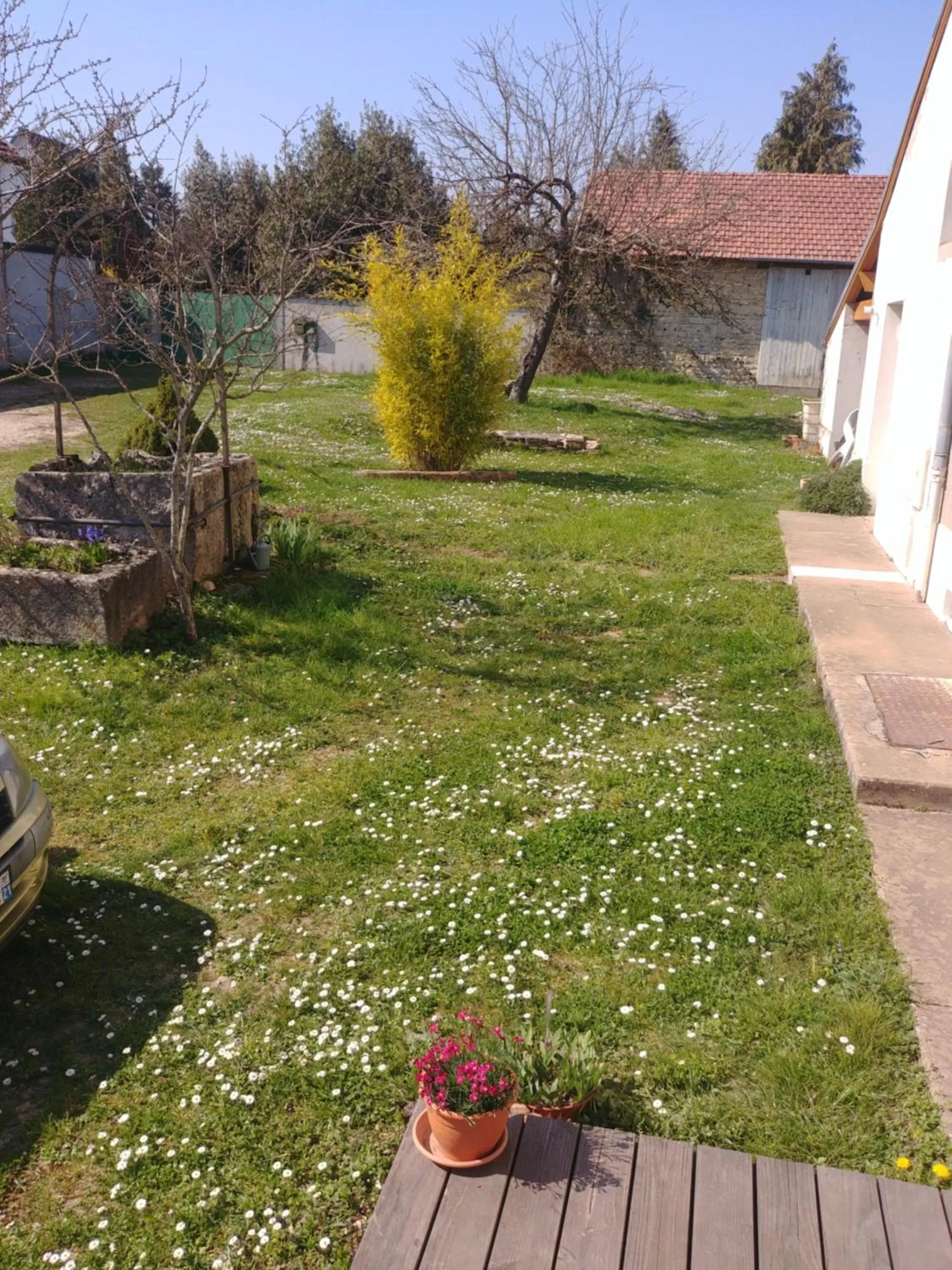 Garden in 2 chambres privées au calme à la Maison des Bambous