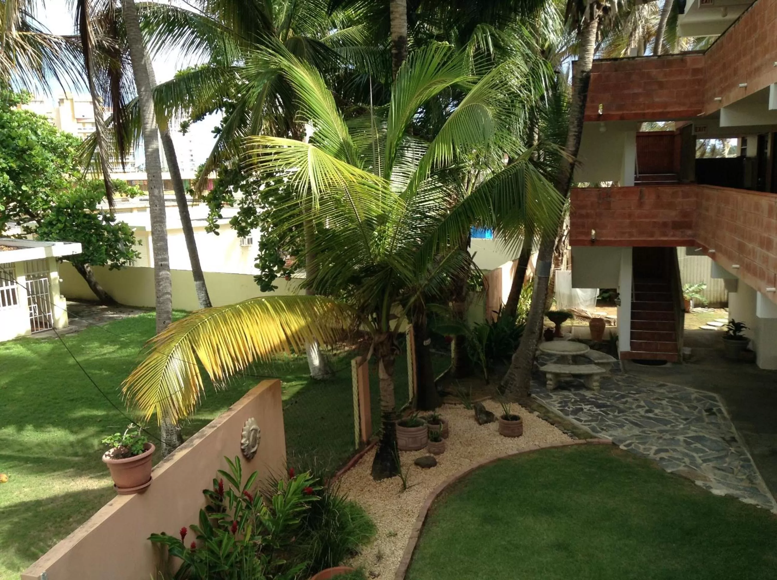 Garden view in Luquillo Sunrise Beach Inn
