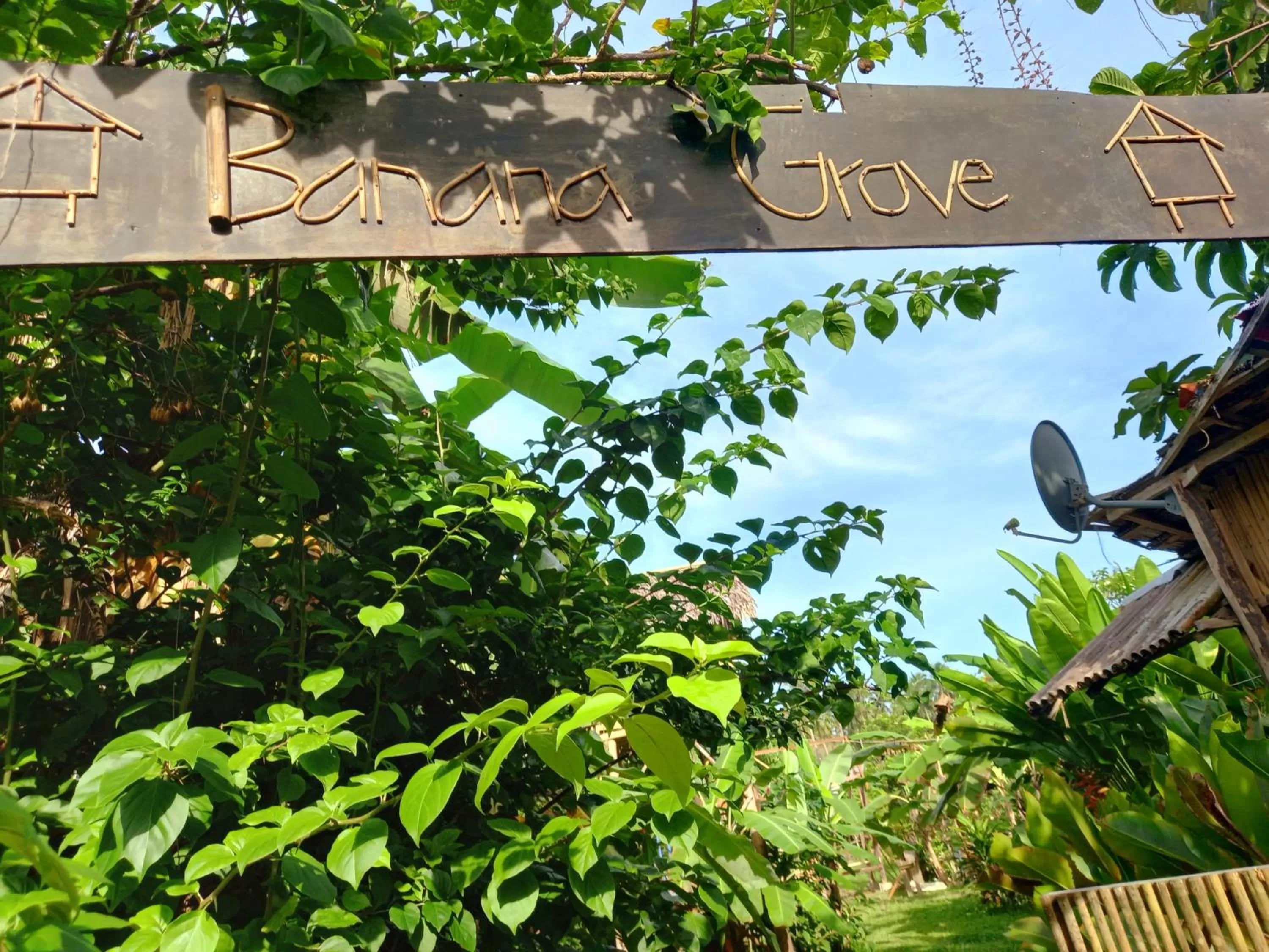 Banana Grove El Nido