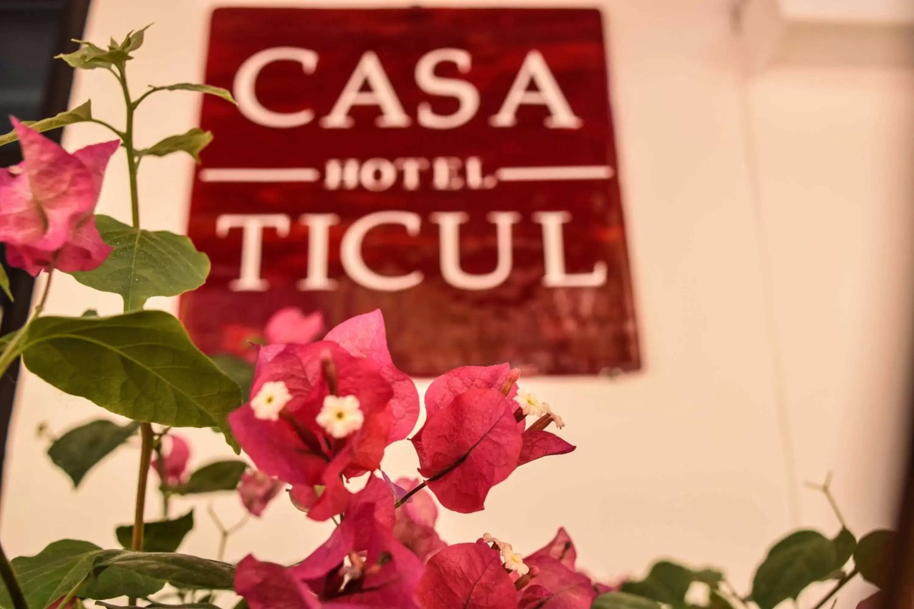 Logo/Certificate/Sign in Casa Ticul Hotel Boutique - 5Th Ave by BFH
