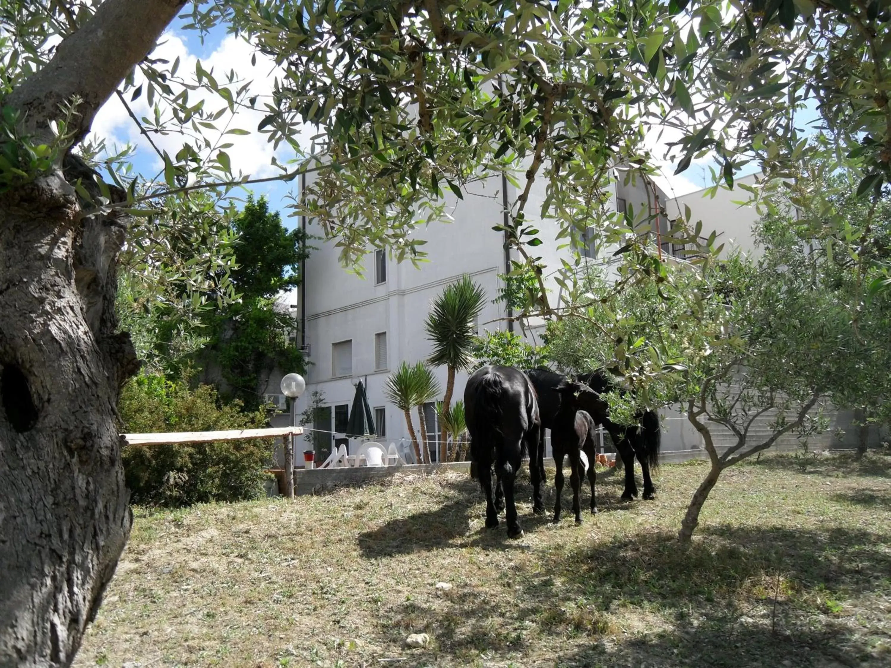 Property building, Garden in Le Sorbole