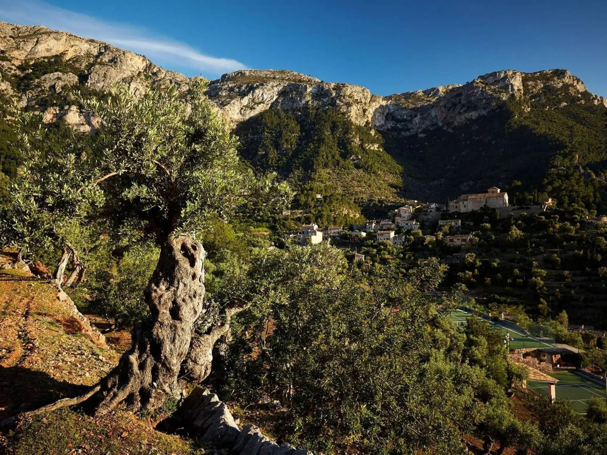 Garden, Natural Landscape in La Residencia, A Belmond Hotel, Mallorca