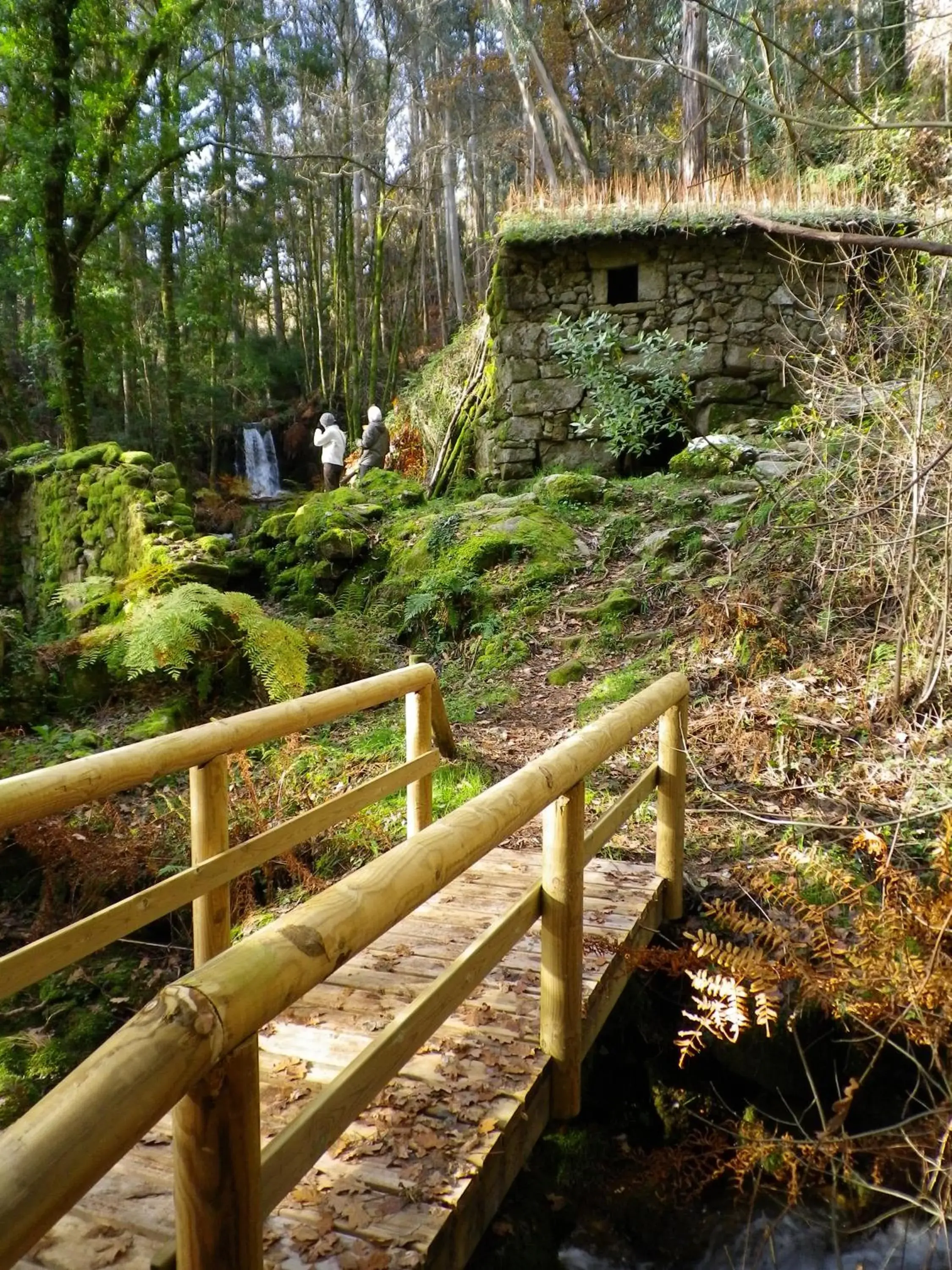 Natural landscape in Cruceiro do Monte