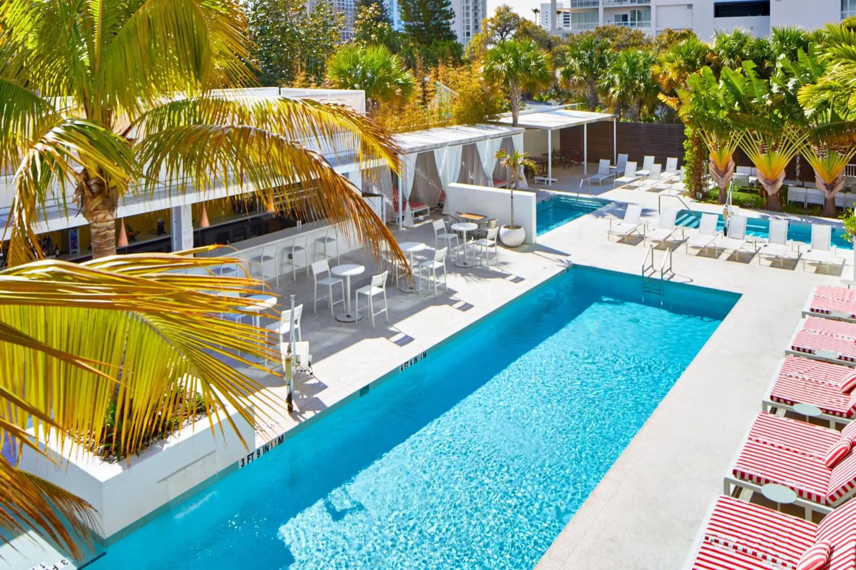 Swimming pool, Pool View in The Sarasota Modern, a Tribute Portfolio Hotel