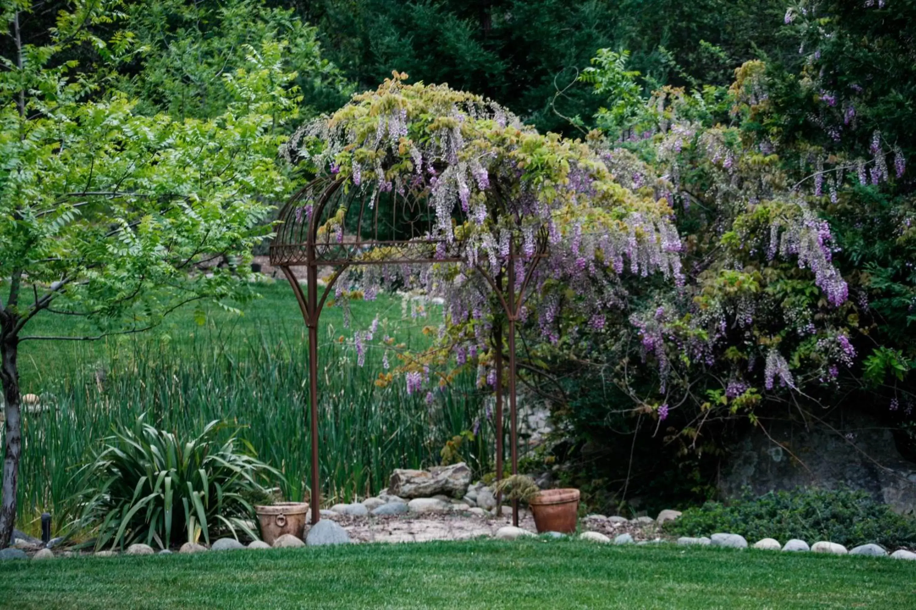 Natural landscape, Garden in Bella Vista Bed and Breakfast