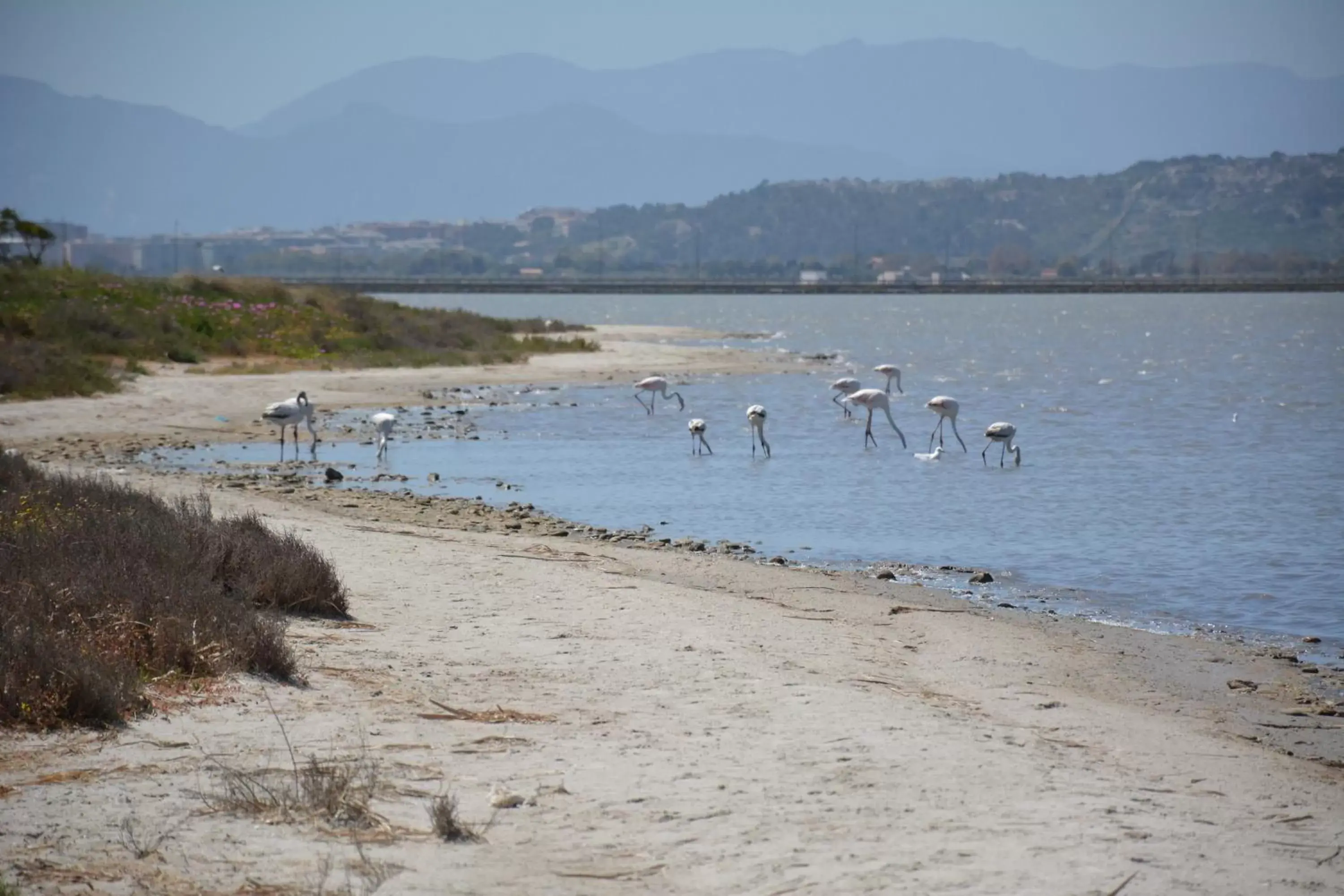 Neighbourhood, Beach in Giardini e Mare