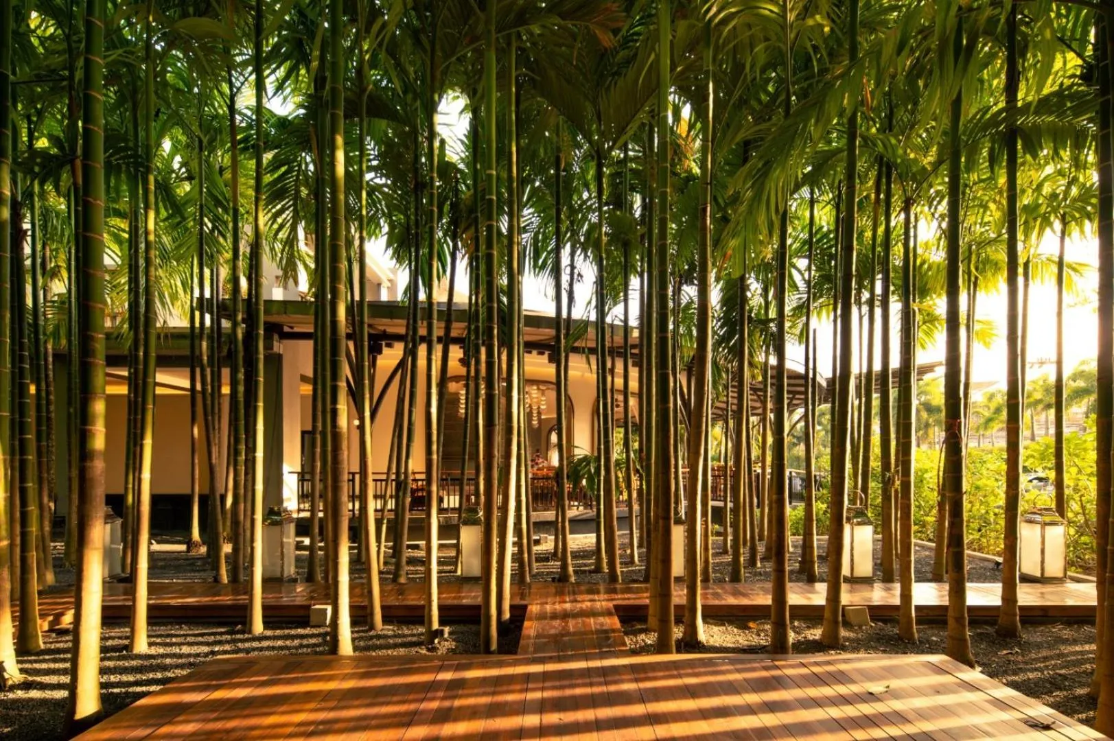 Lobby or reception in Areca Resort and Spa