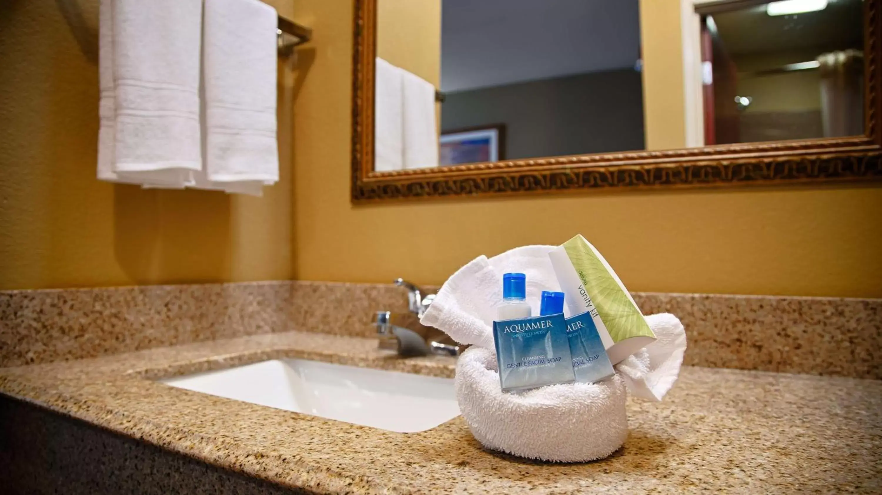 King Room - Disability Access Tub in Best Western Zachary Inn King Room - Disability Access Tub in Best Western Zachary Inn