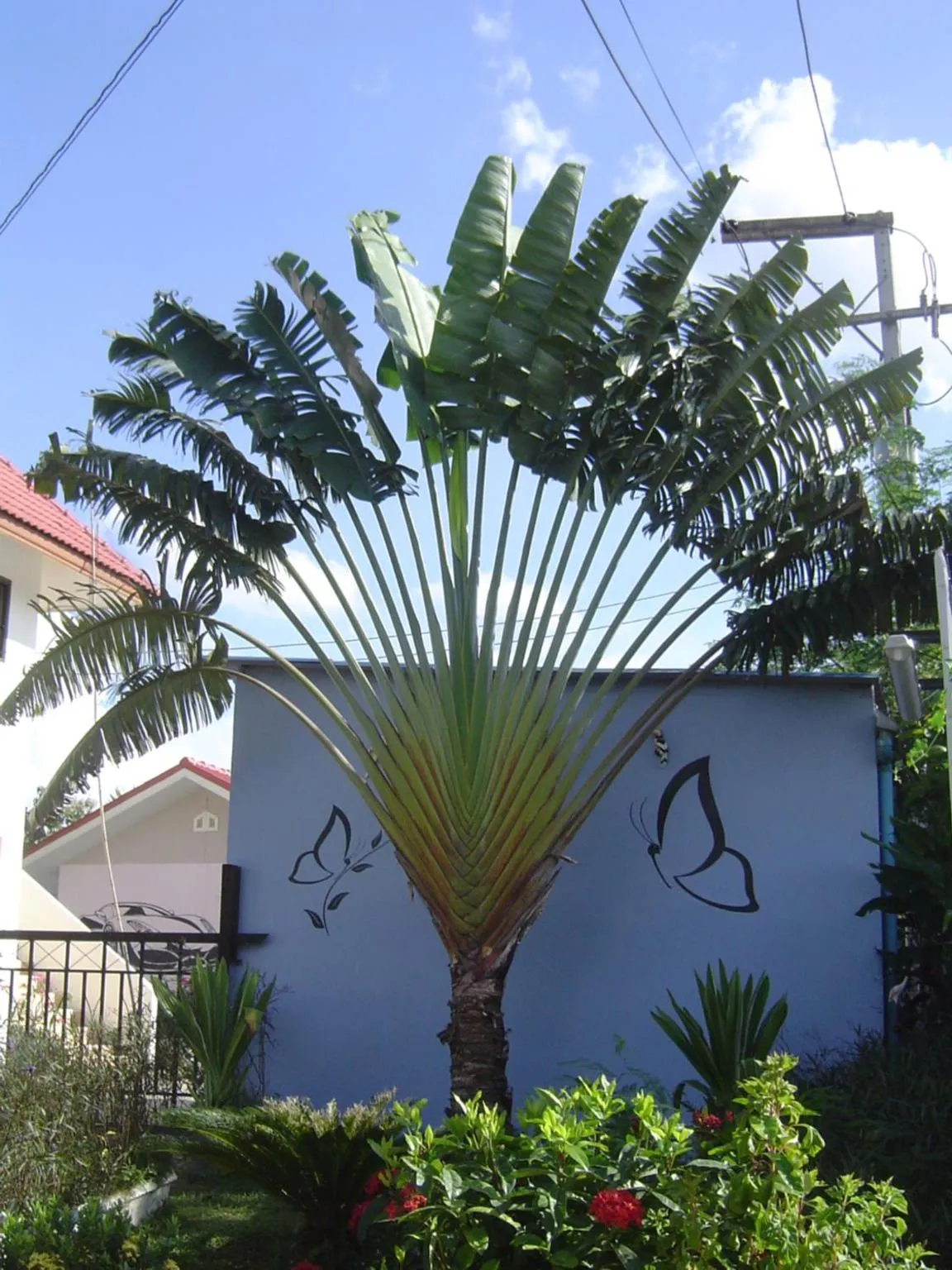 Decorative detail in Mini-golf **** & Resort Ubon Ratchathani