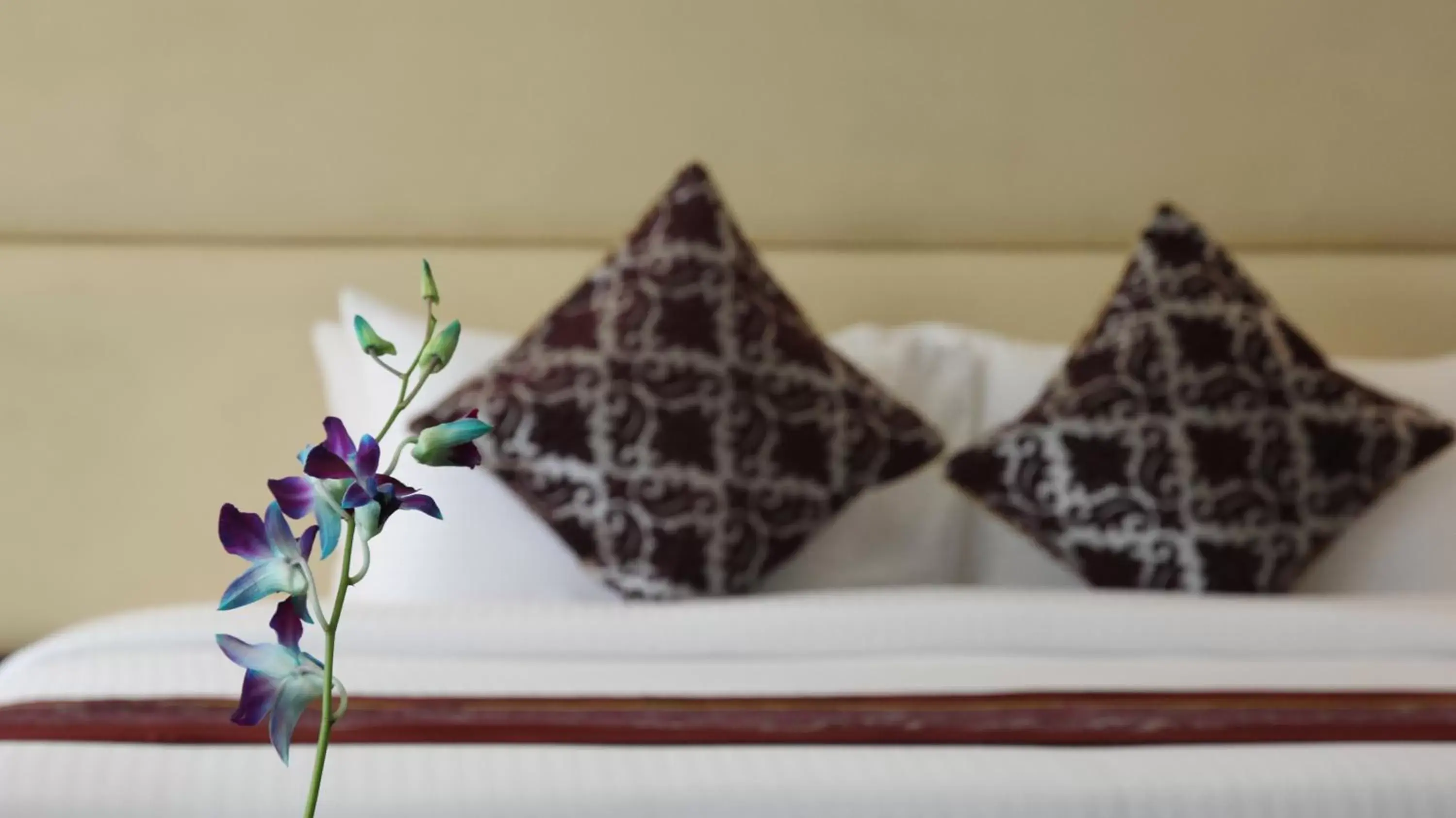 Executive Double or Twin Room in Clarks Inn Suites Gwalior Executive Double or Twin Room in Clarks Inn Suites Gwalior