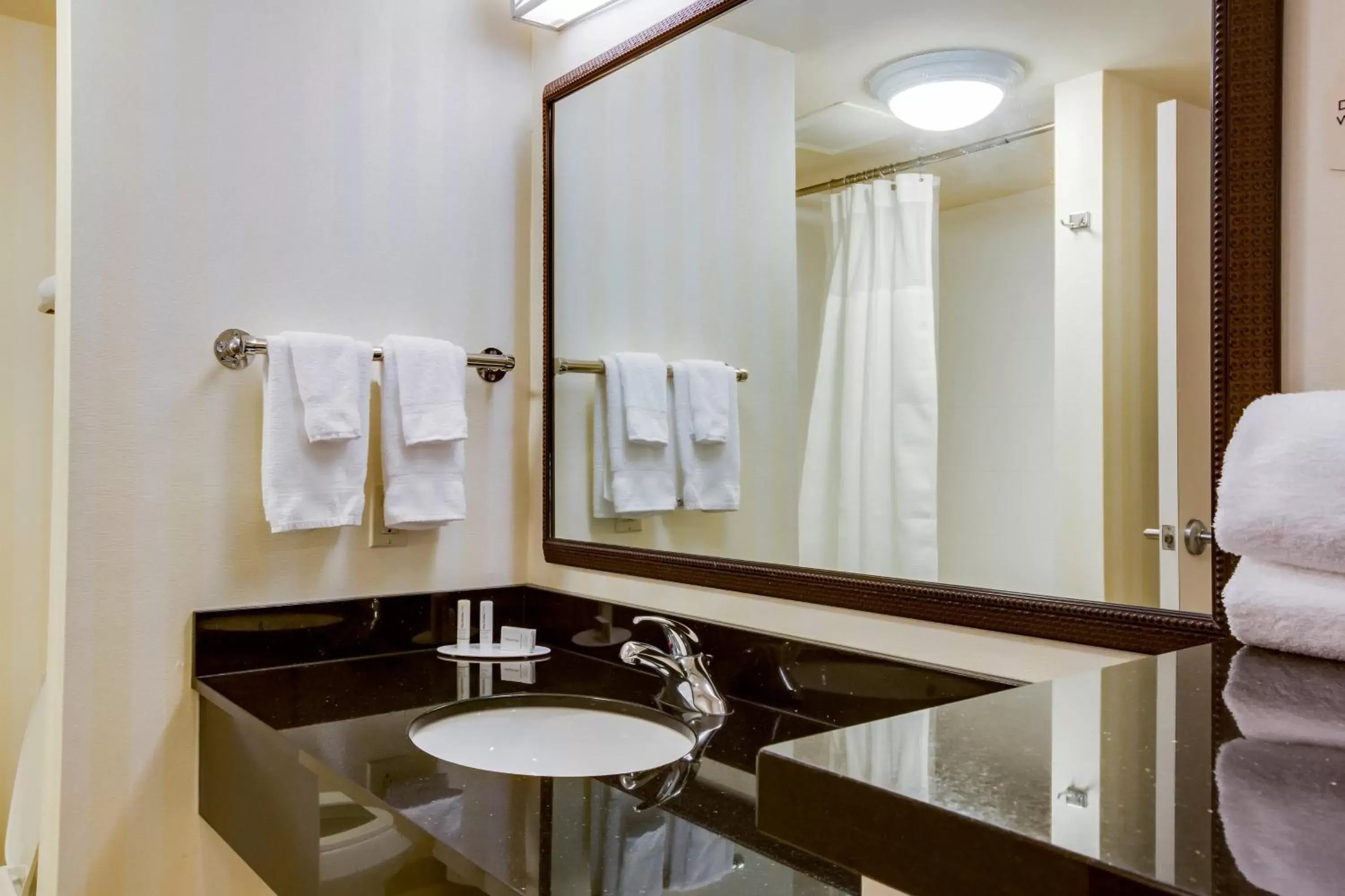 Bathroom in Fairfield Inn and Suites by Marriott Titusville Kennedy Space Center