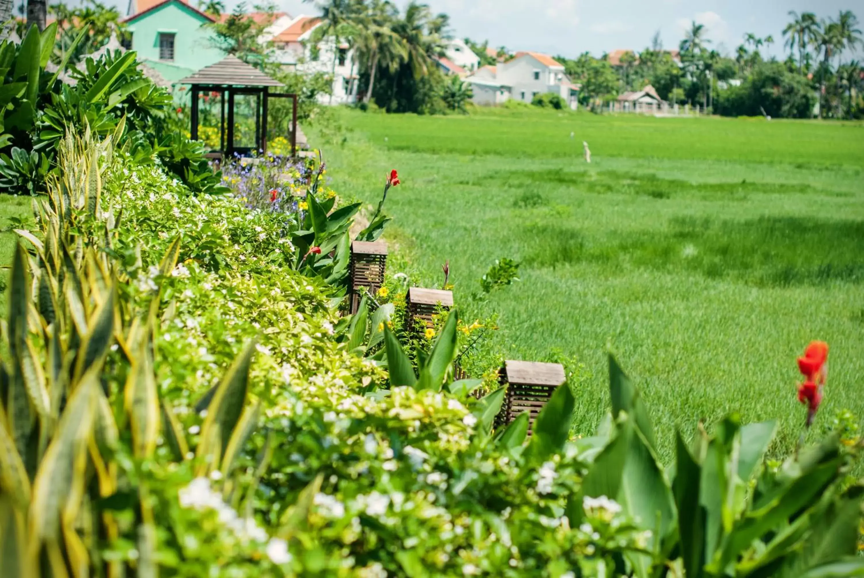 Garden view, Garden in Legacy Hoi An Resort - formerly Ancient House Village Resort & Spa