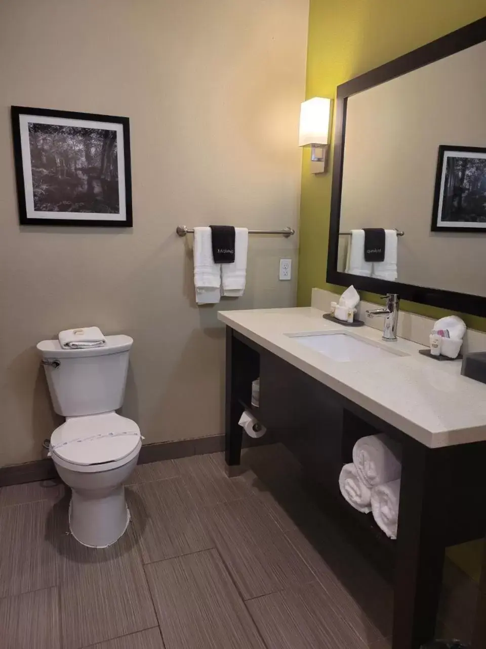 Toilet, Bathroom in La Quinta by Wyndham Tyler - University Area
