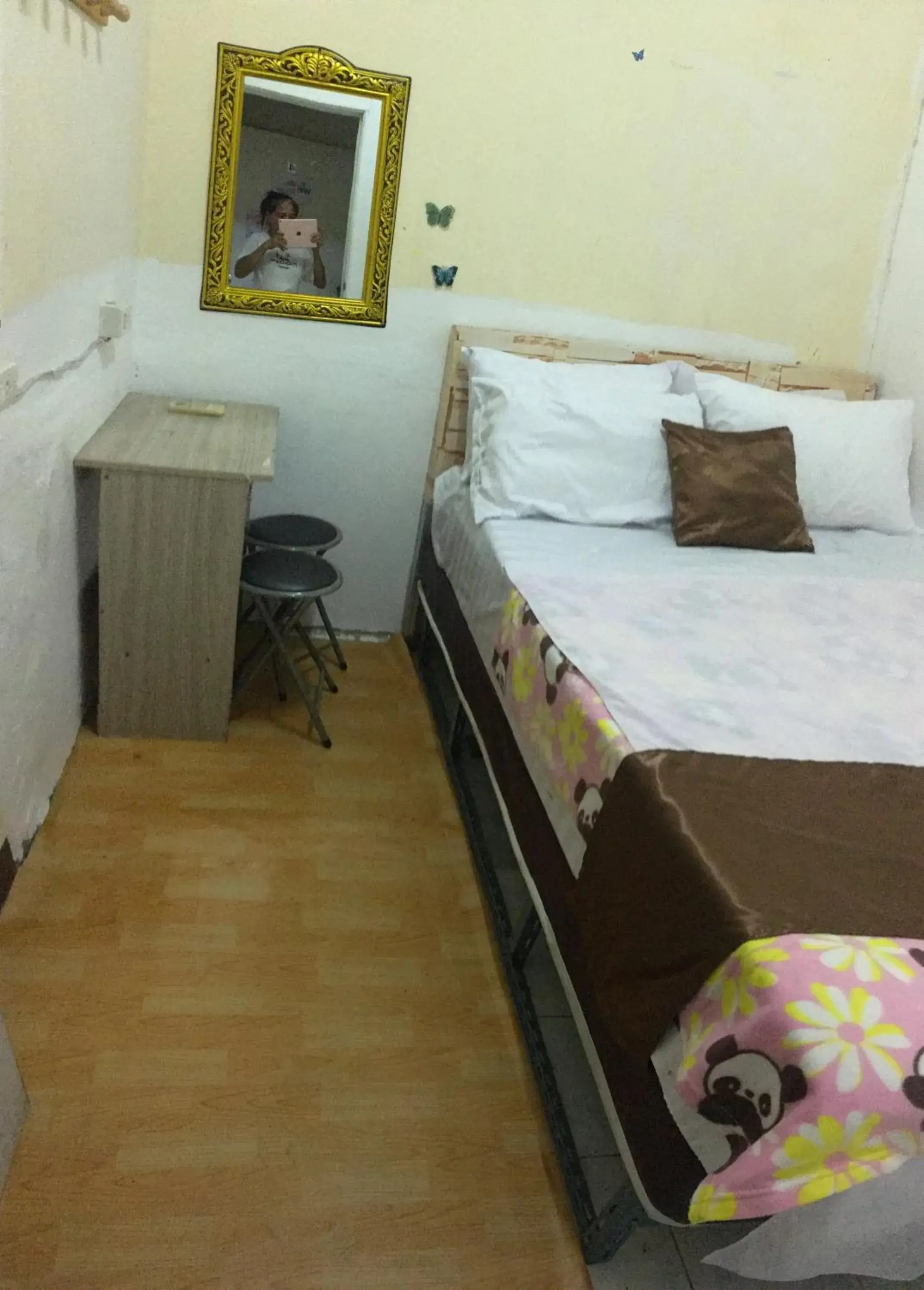 Bed in hostel24