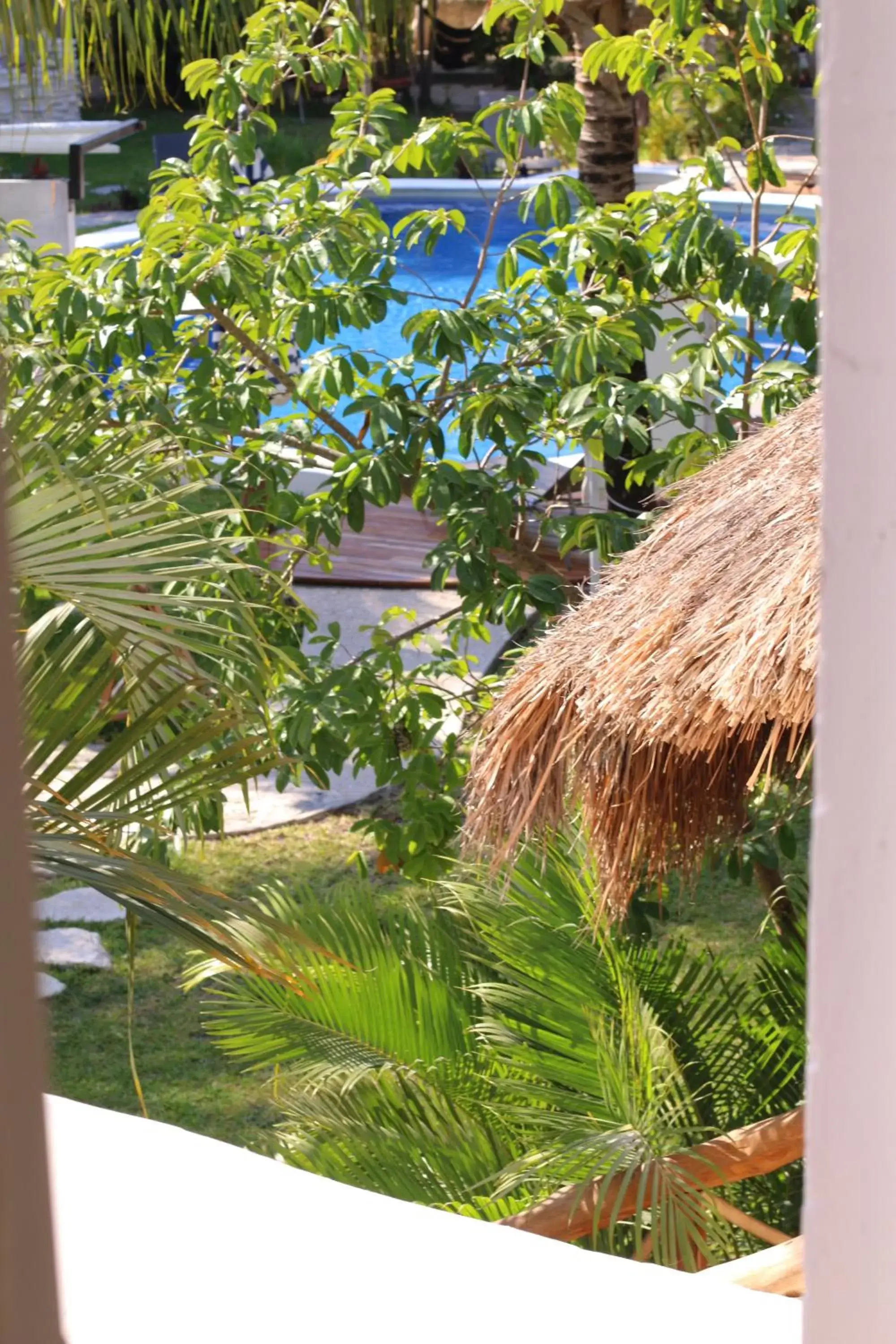 Natural landscape, Pool View in WishTulum