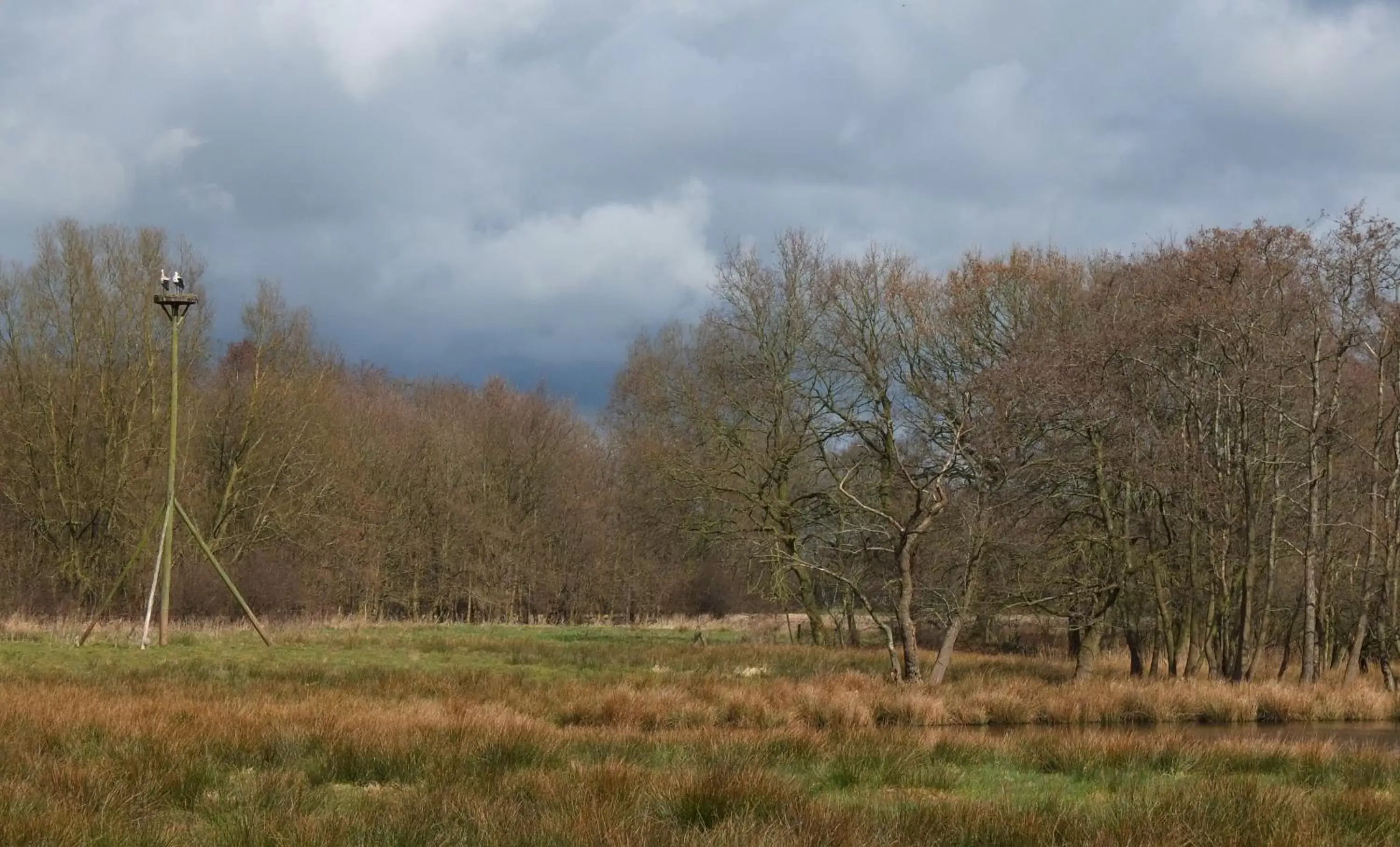 View (from property/room), Natural Landscape in De Wiede Blik