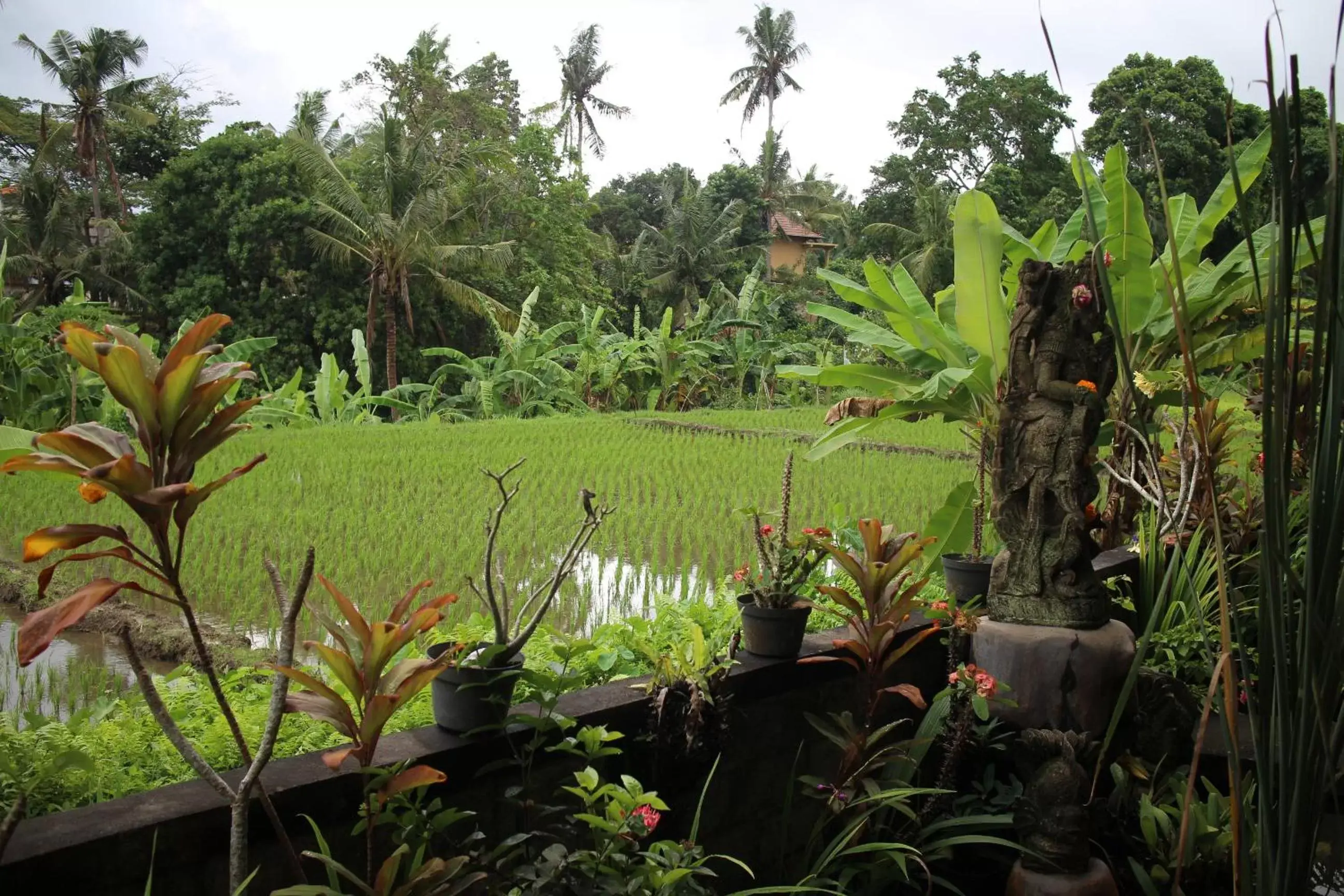 Neighbourhood, Garden in Ubud Sensasi Bungalow