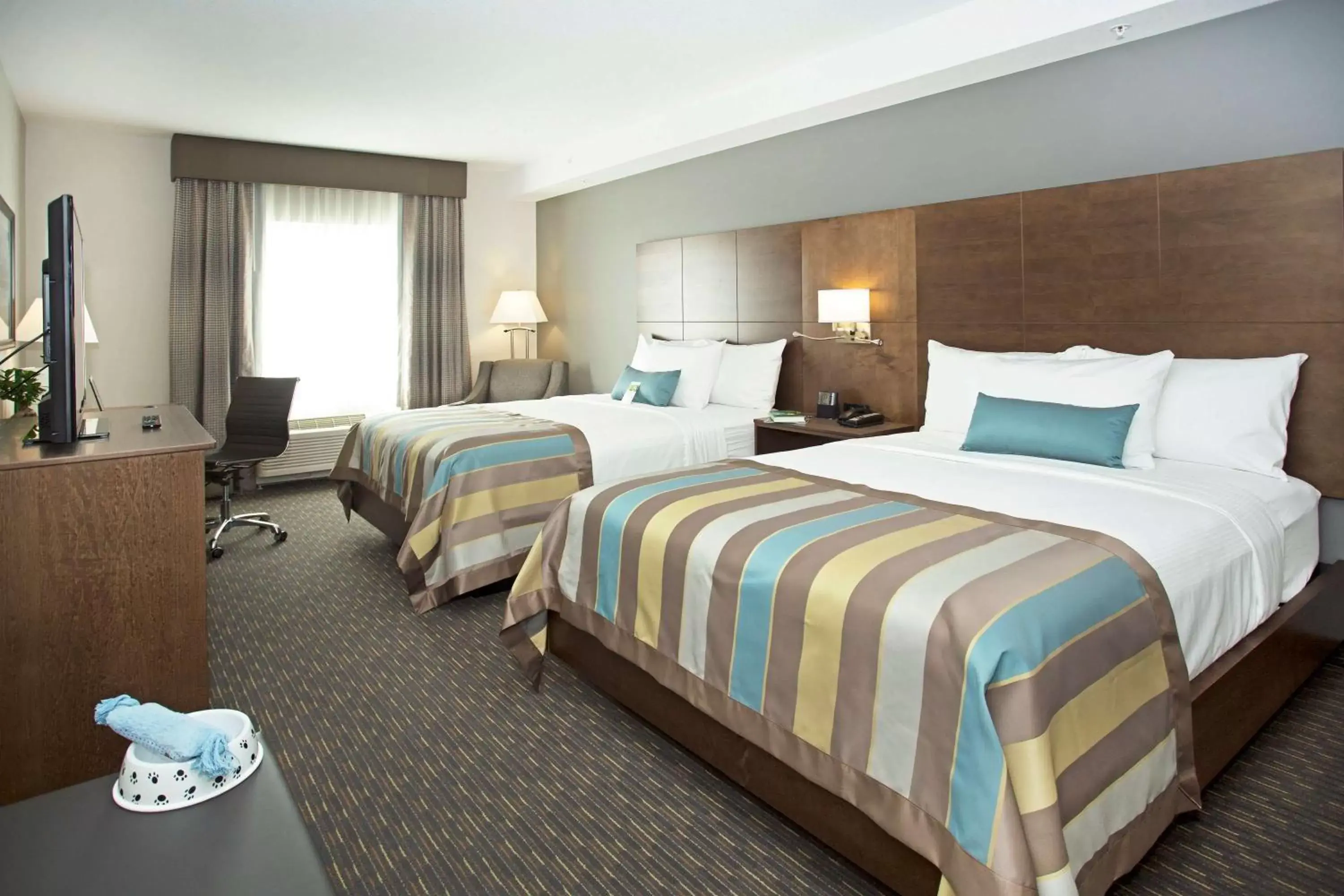 Photo of the whole room, Bed in Wingate by Wyndham Calgary Airport