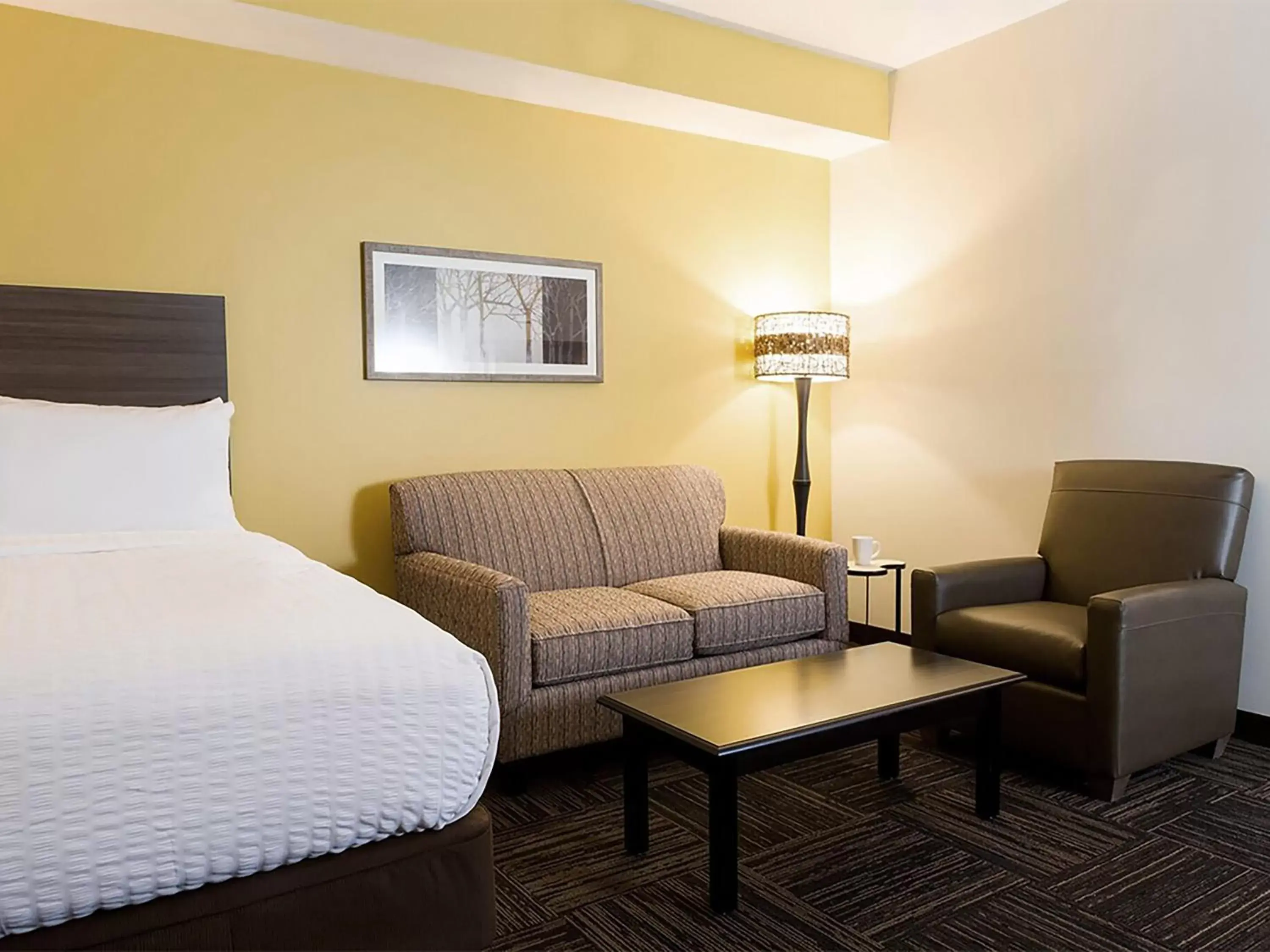 Bed, Seating Area in Extended Stay America Suites - Rock Hill