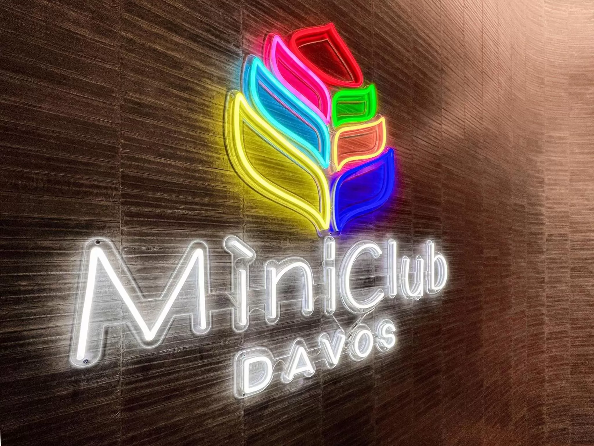 Area and facilities in AlpenGold Hotel Davos