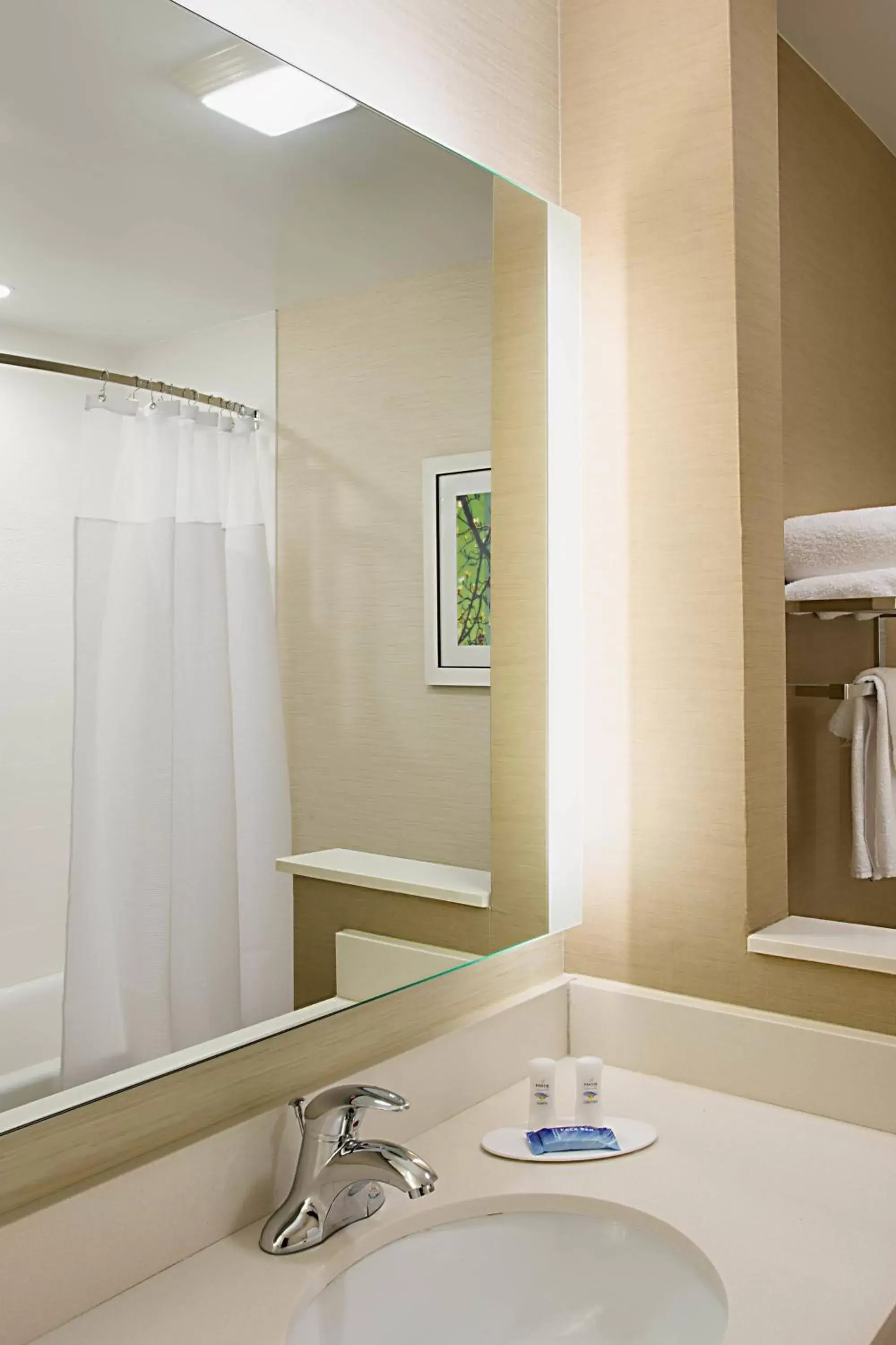 Bathroom in Fairfield Inn & Suites by Marriott Dallas West/I-30