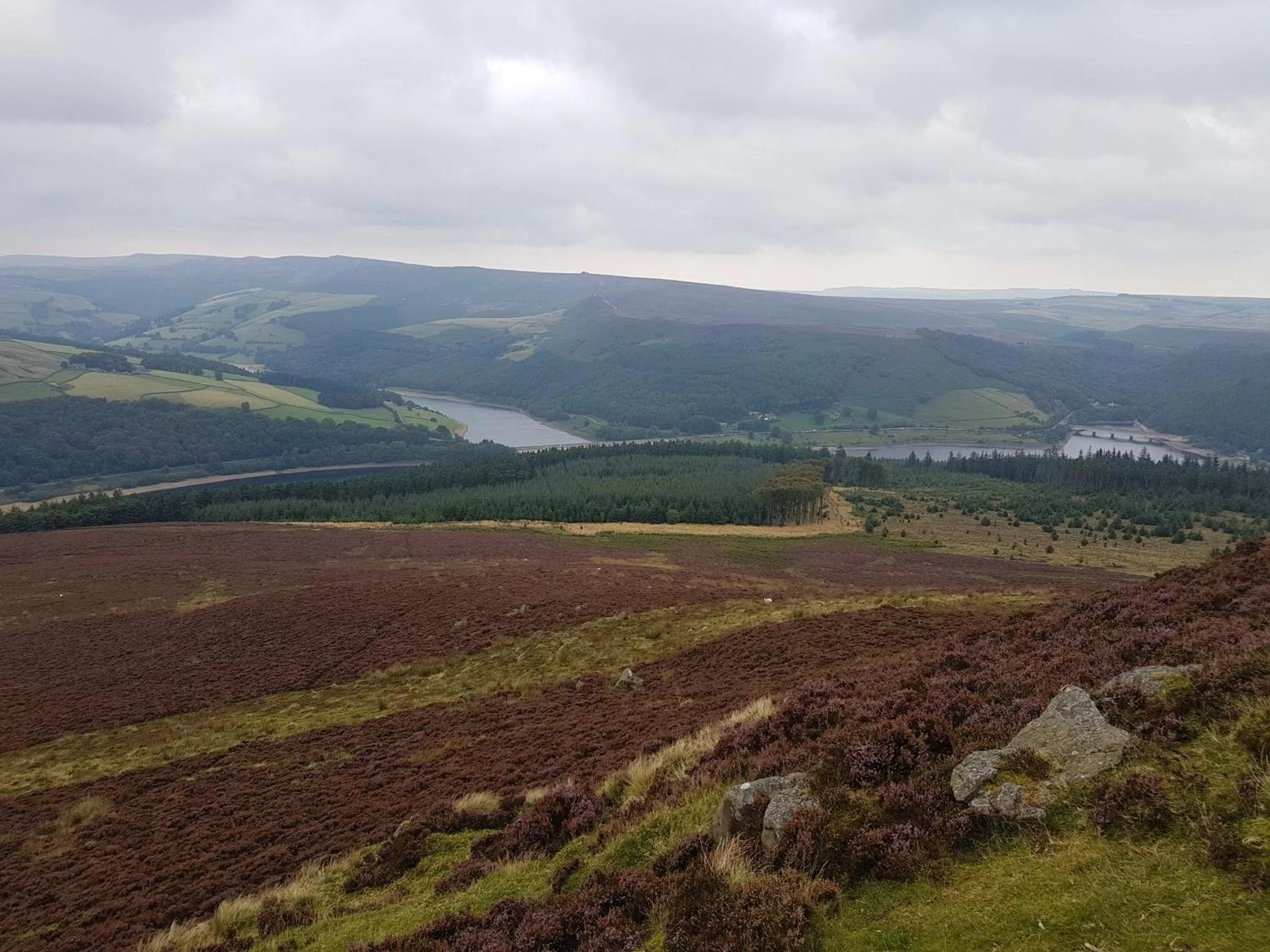 Natural landscape in Lyndene