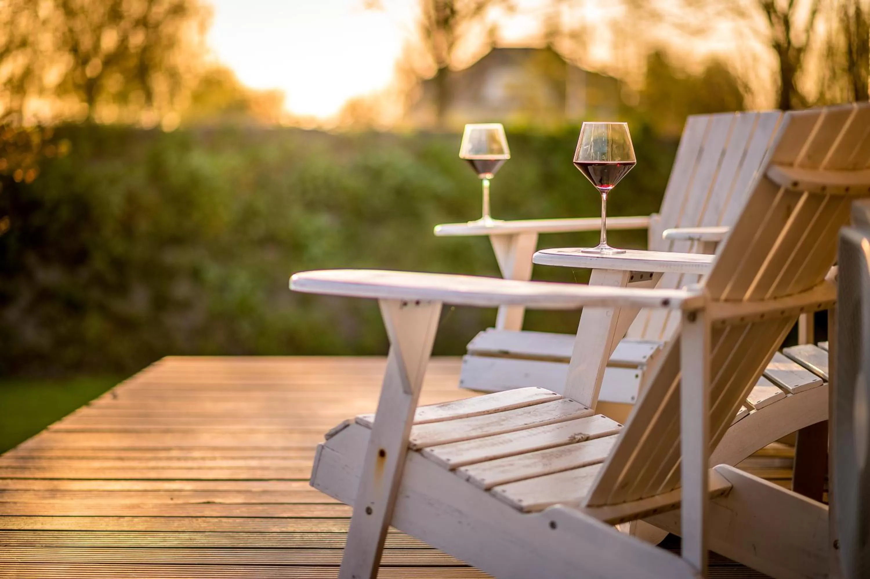 Patio in B&B Bleiswijk